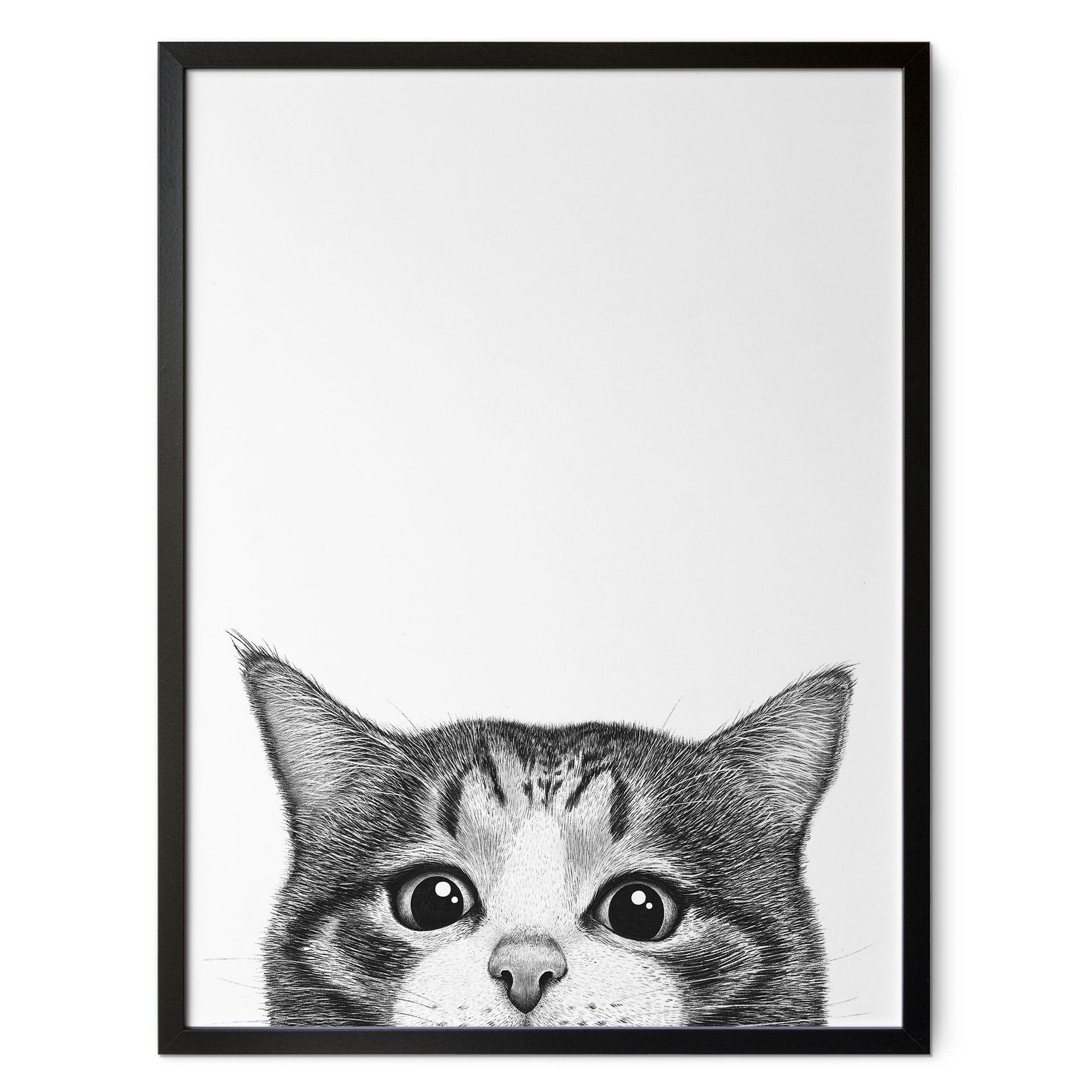 Póster Gato curioso - Korenkova