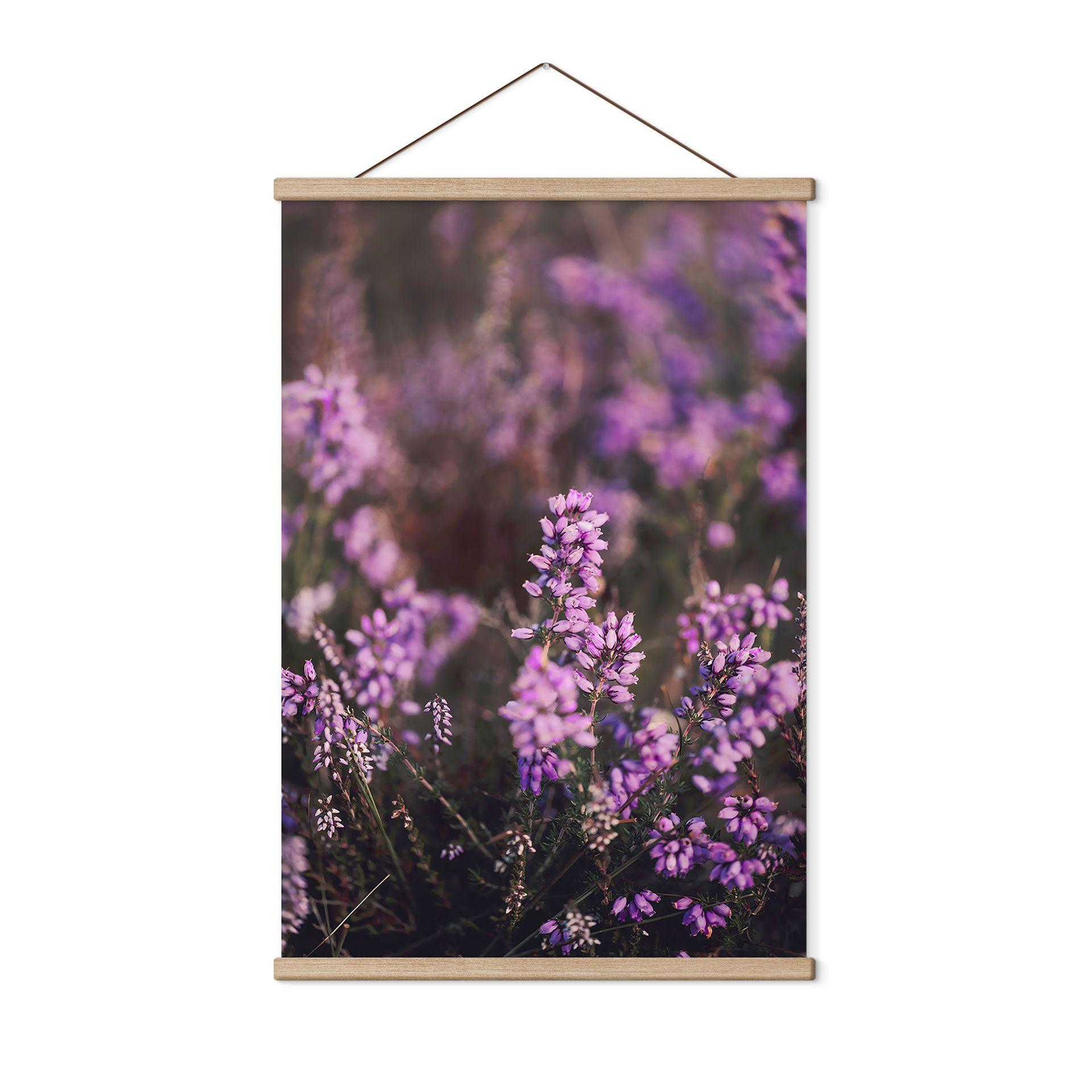 Póster de tela flor de brezo púrpura con luz cálida - Annie