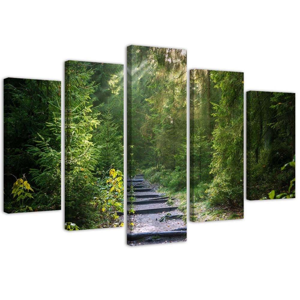 5 stykke lærred Print Skov Natur Grønt Landskab