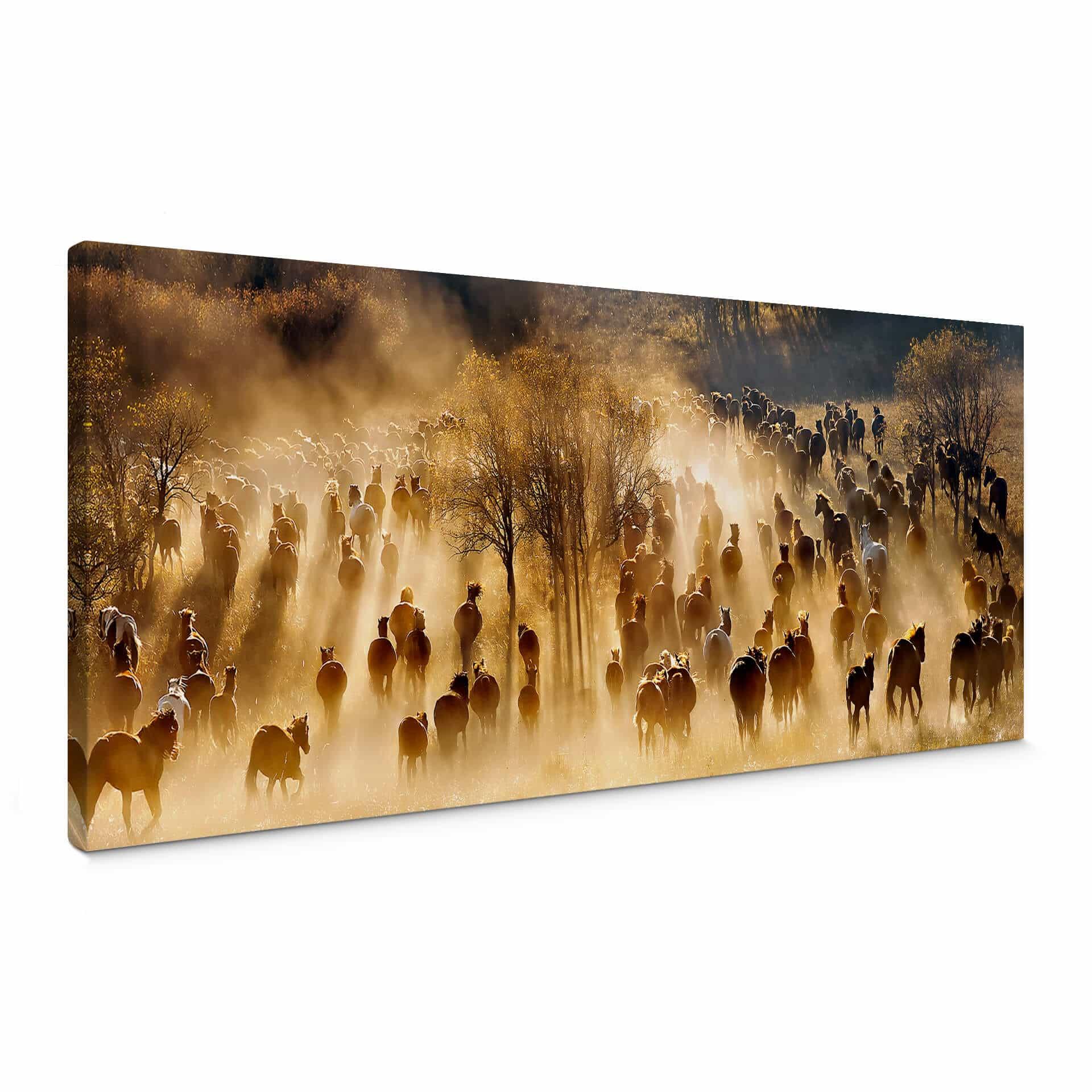Canvasbillede - Zhu - Horses - Panorama