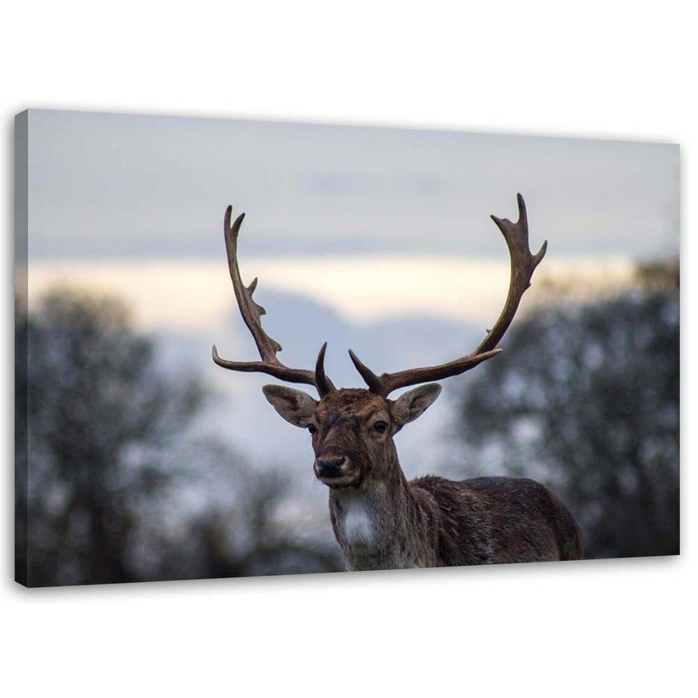 Canvasbillede, Hjort