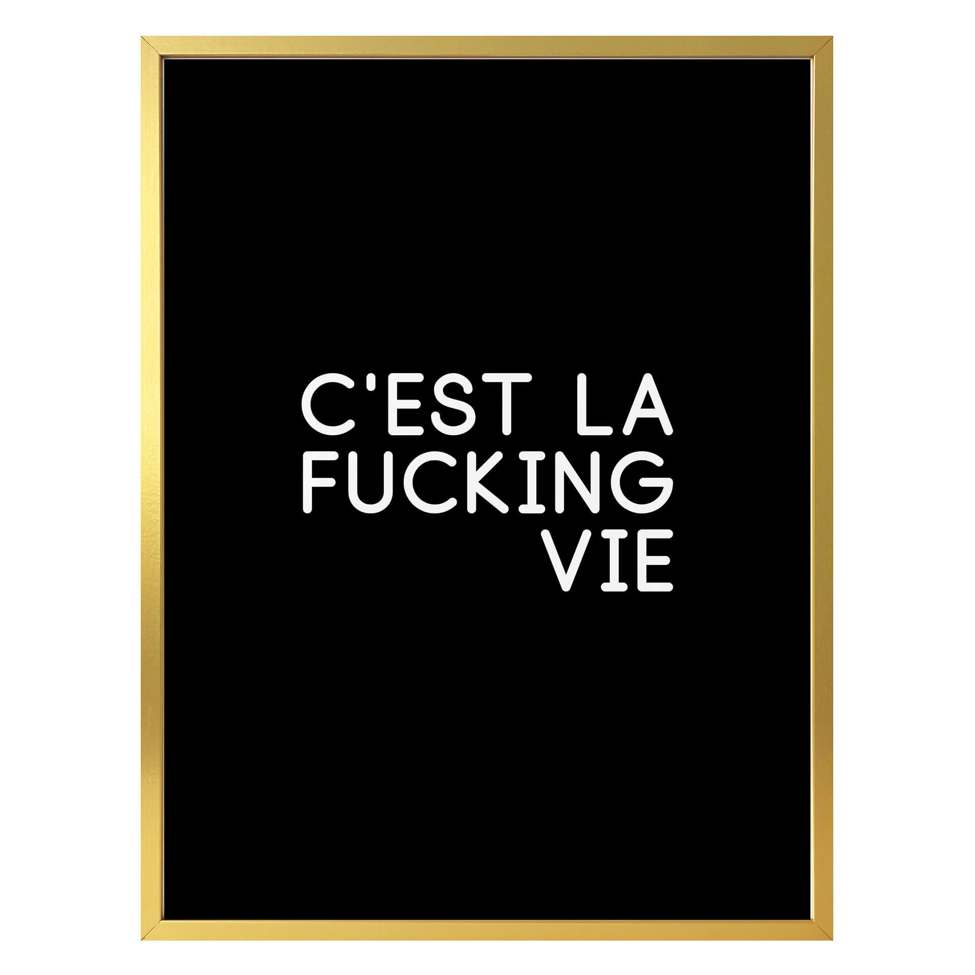 Póster C'est la fucking vie