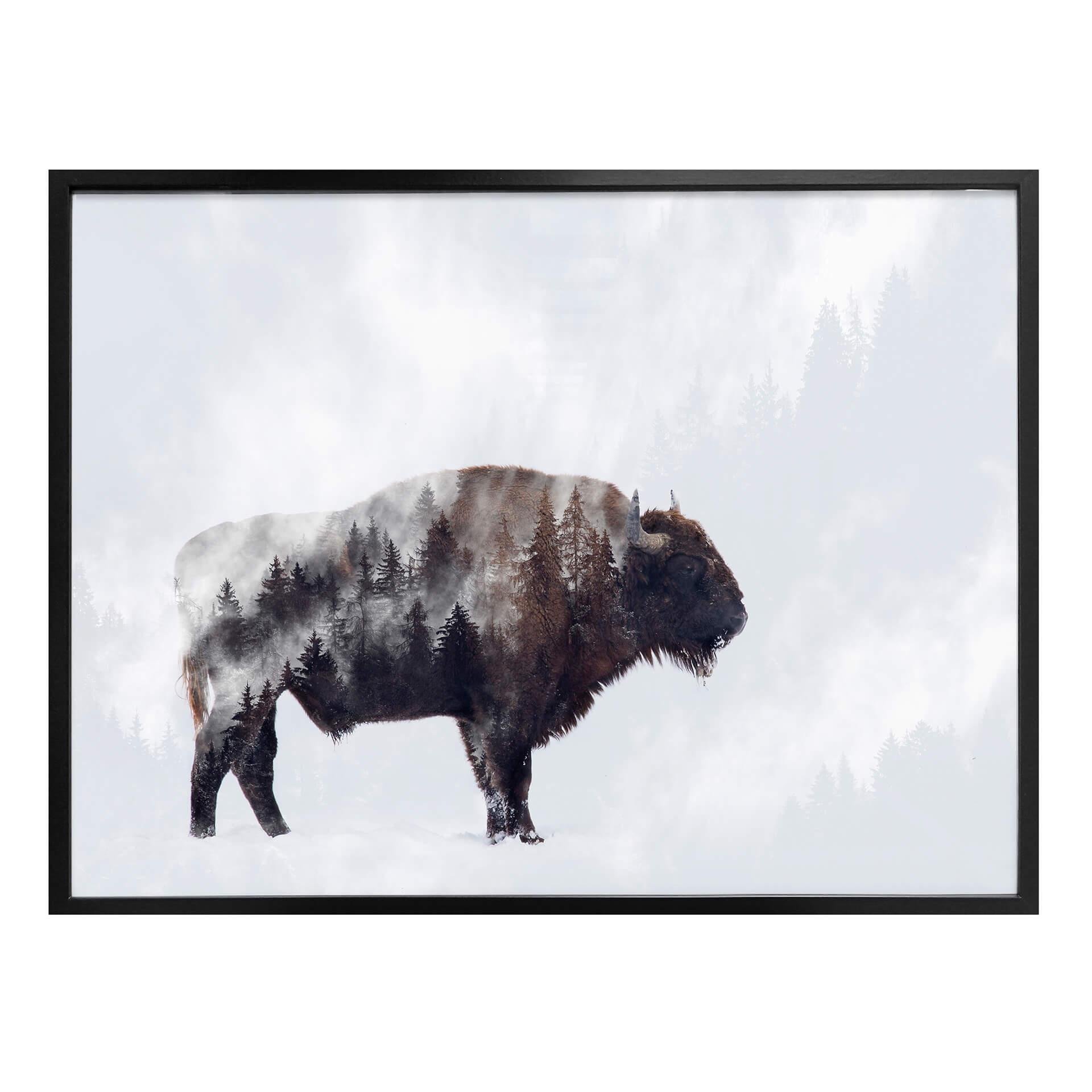 Plakat - Beáta - Bison