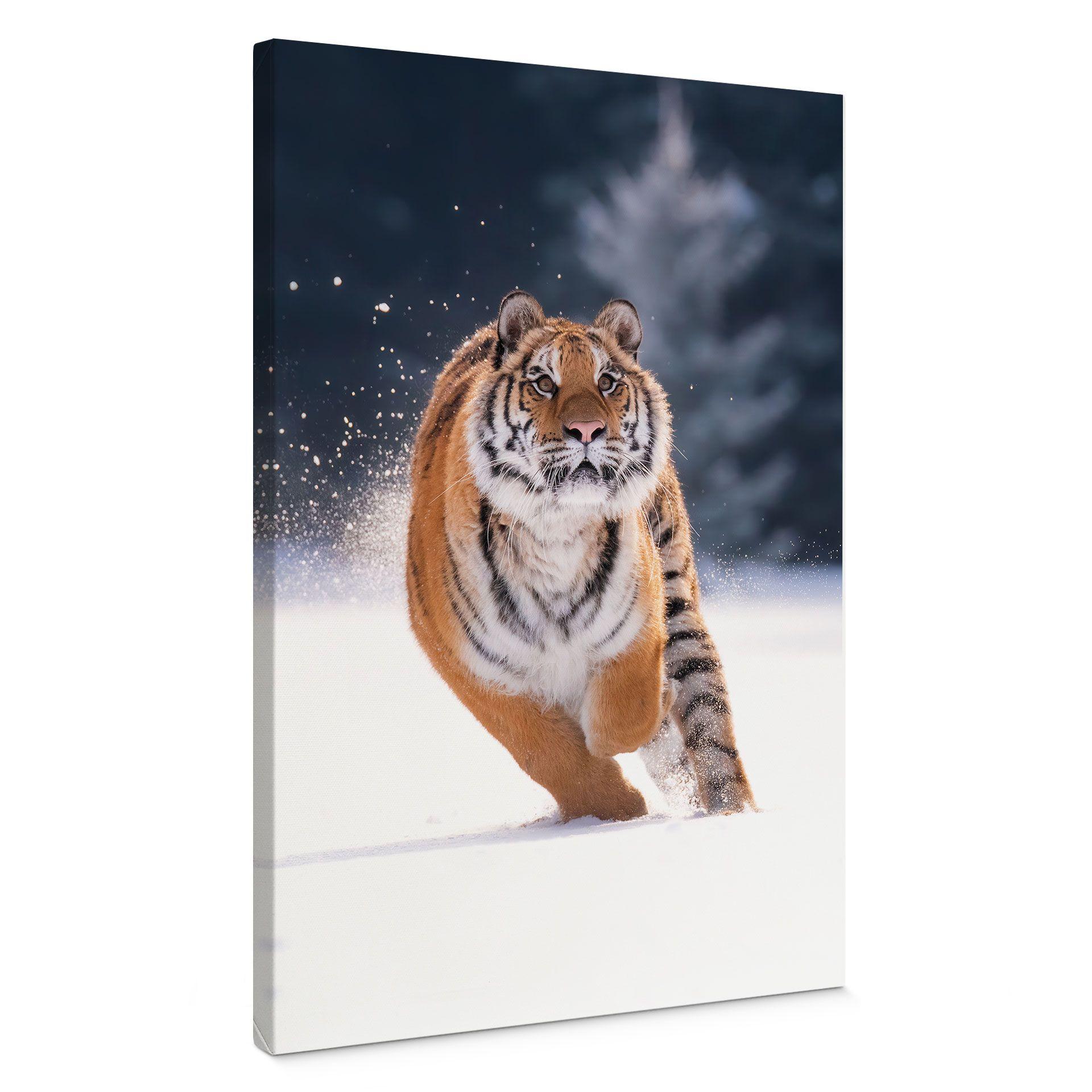 Lienzo Tigre siberiano en la nieve - van Duijn