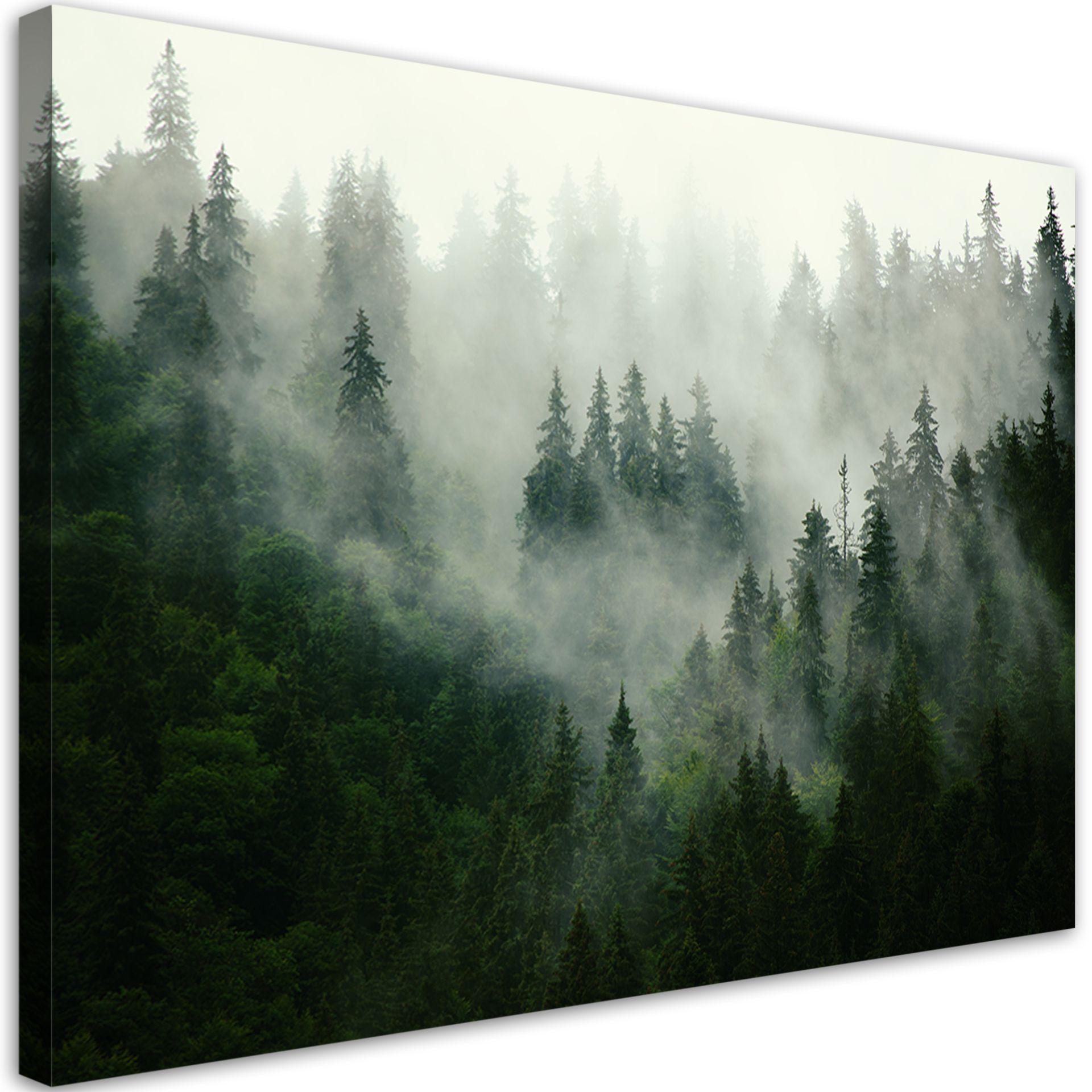 Canvasbillede, Skov i tåge