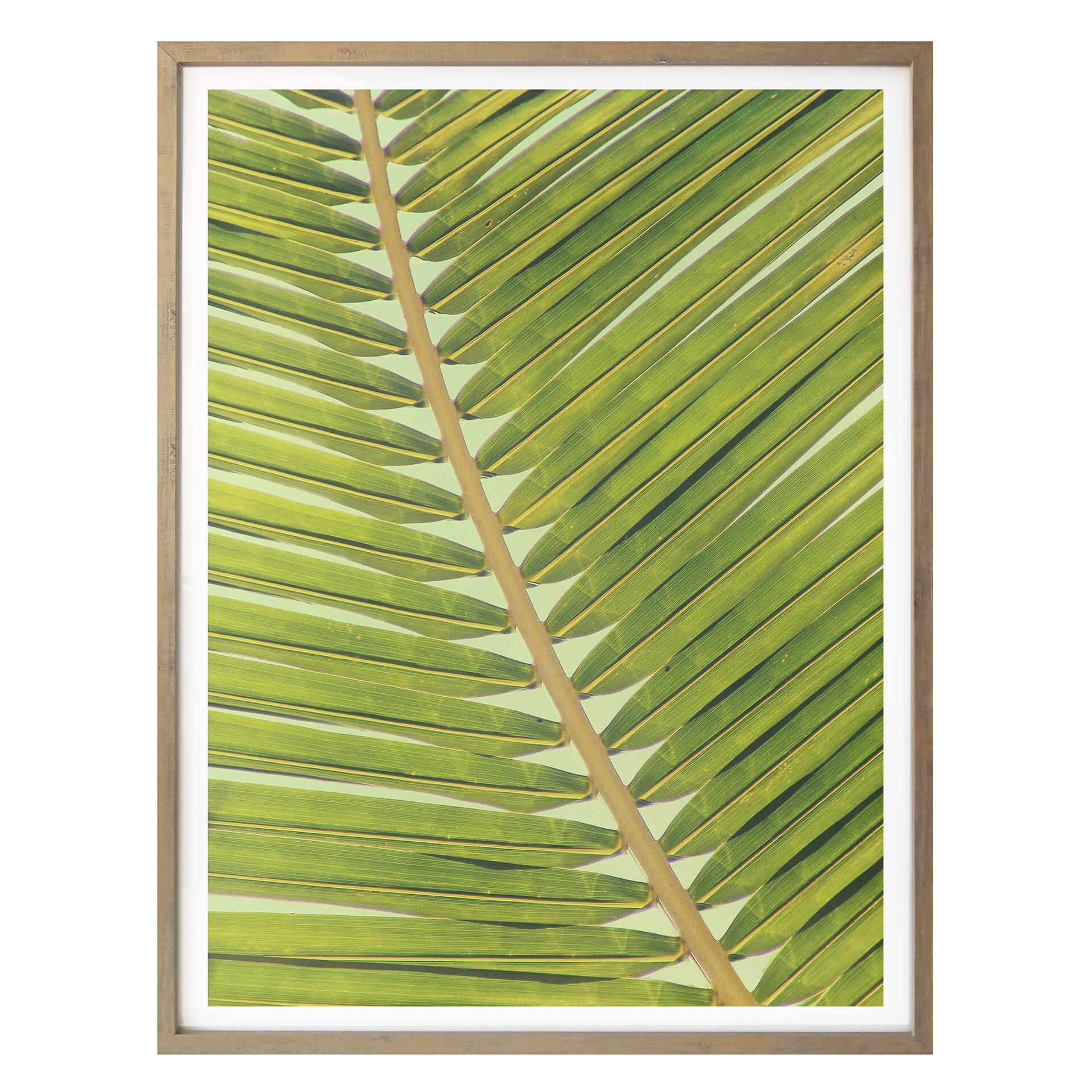 Póster Palmeras 04