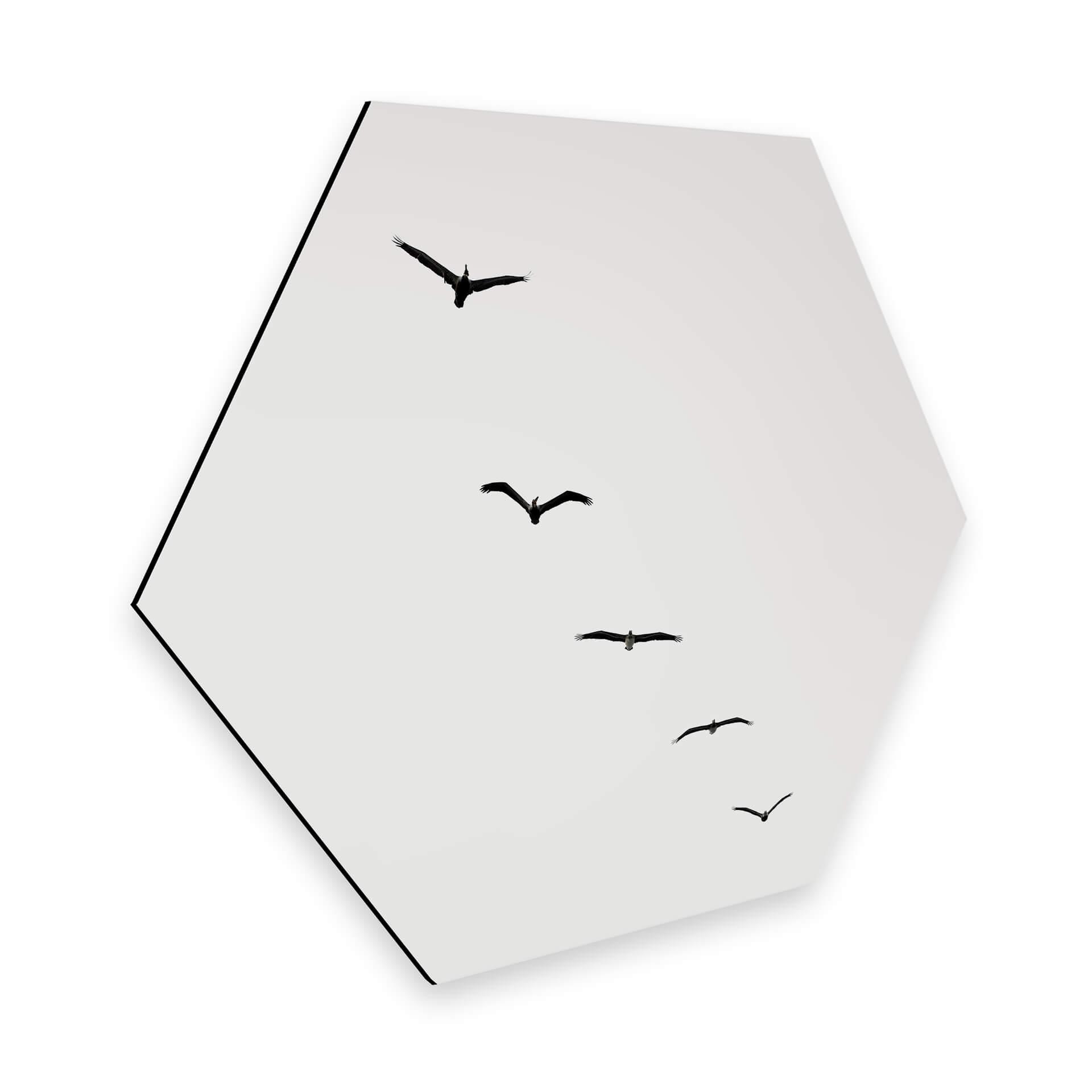 Hexagon Dibond Kubistika - High in the Sky