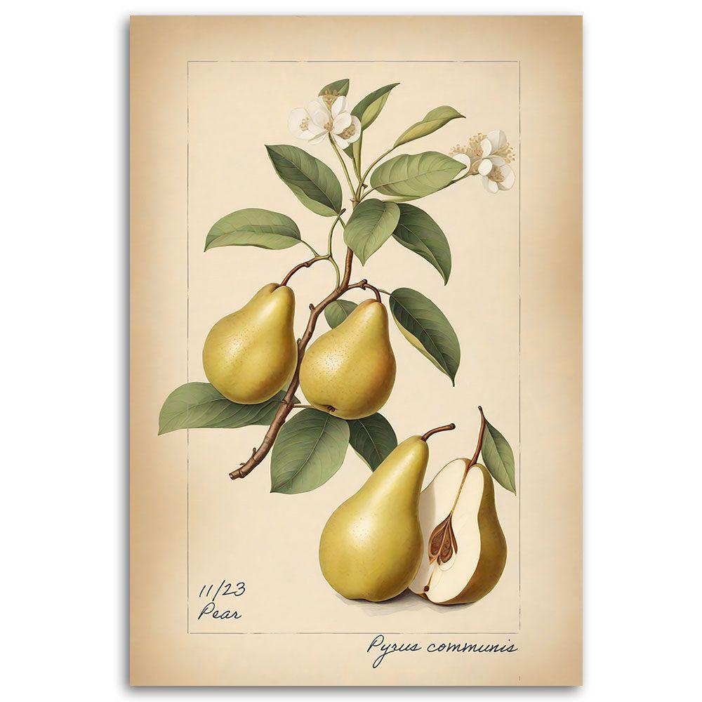 Canvasbillede, frugt vintage pære