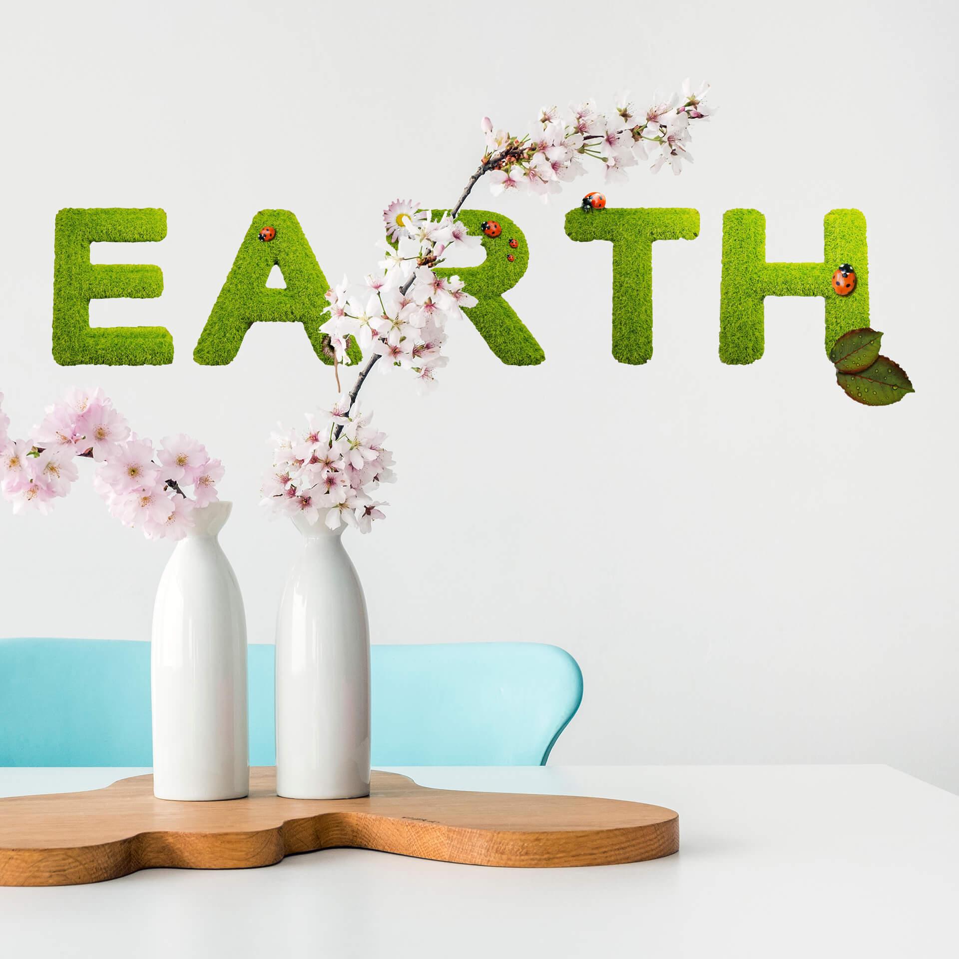 Wallsticker - Earth