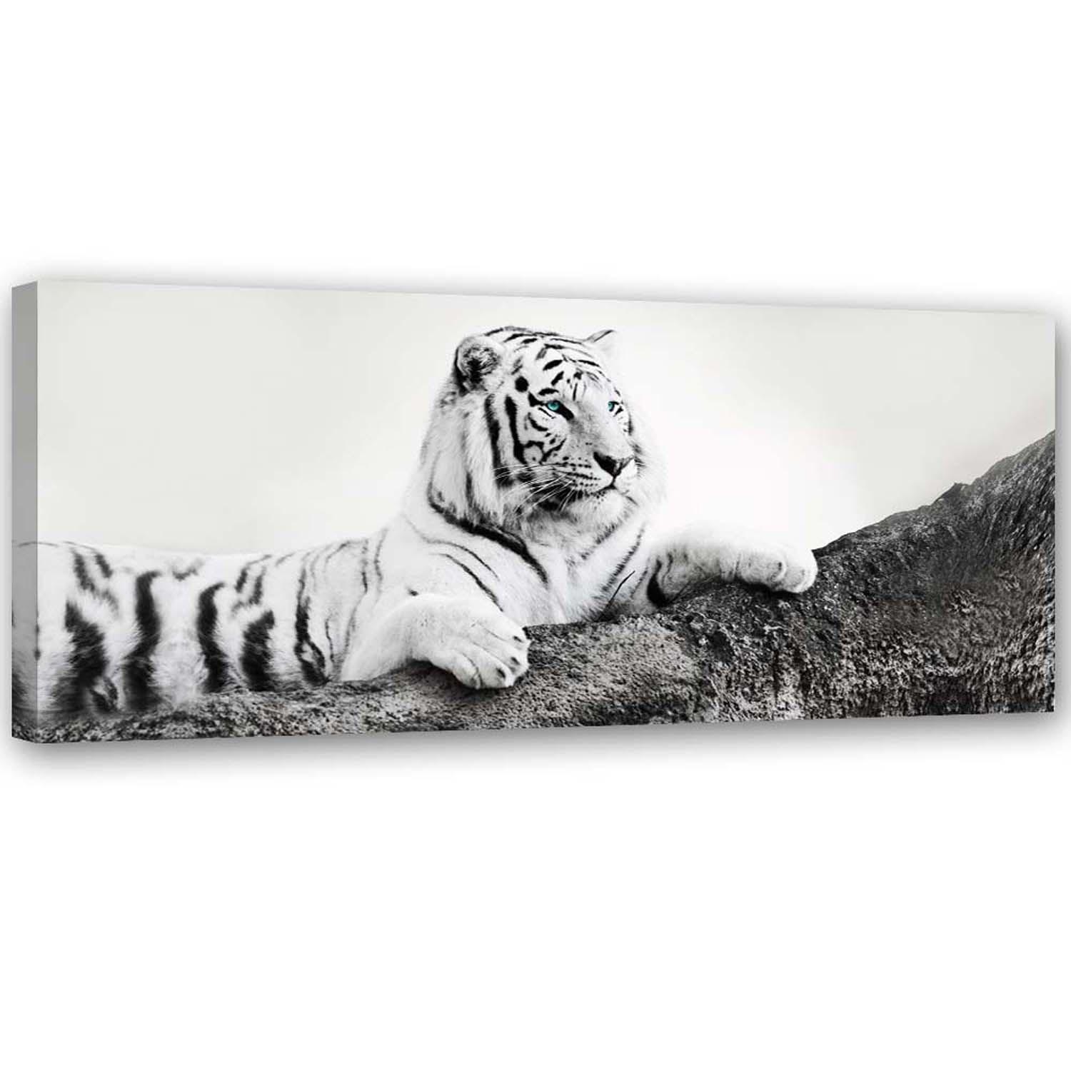 Canvasbillede, Tiger dyreliv natur