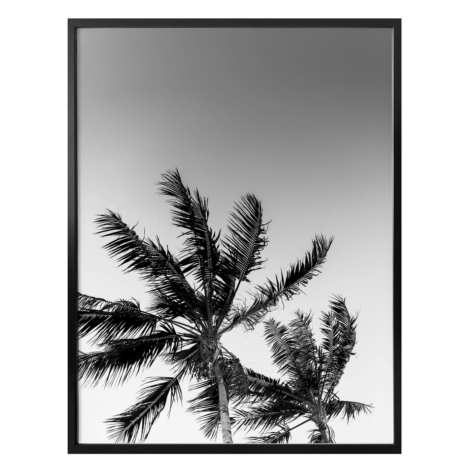 Póster Palmeras en tormenta