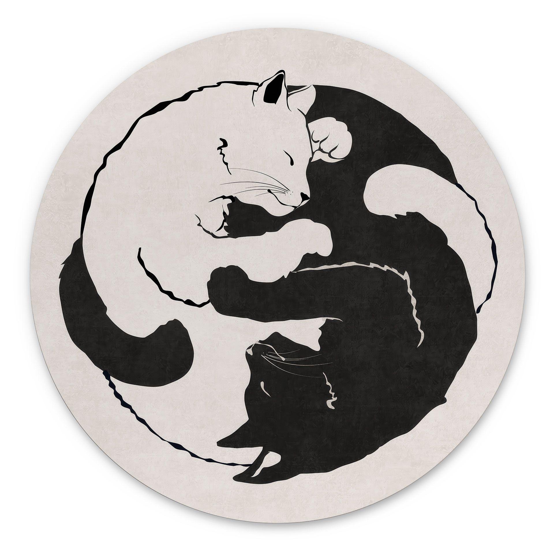 Dibond vægdekoration Katte Ying & Yang - Tunaboylu – print på aluminium (Alu-Dibond)