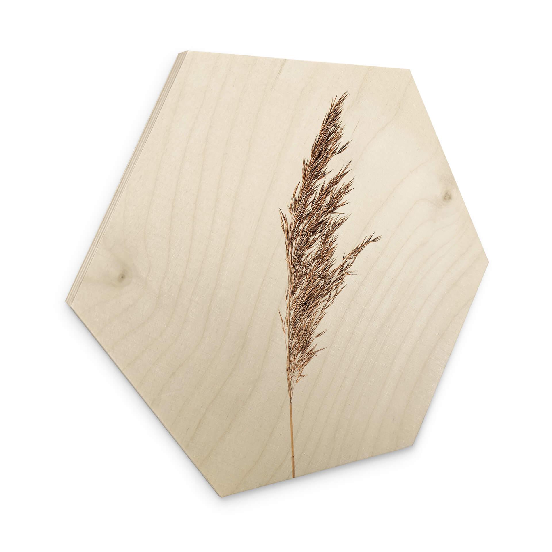 Hexagon Hout Siergras No. 1