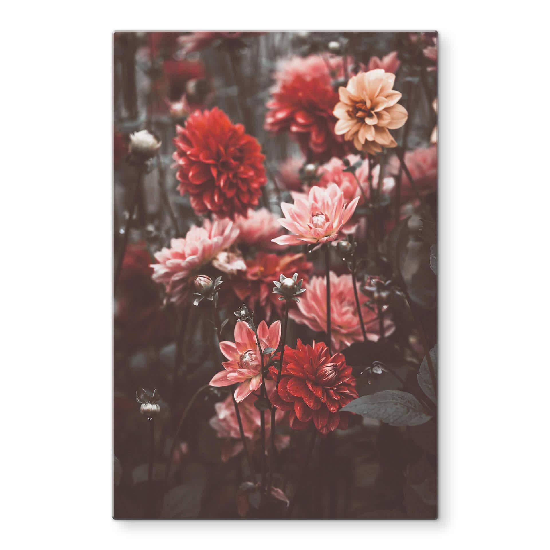Tableau sur verre Annie - Fleurs d'été