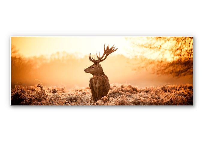 Tableau Forex - Cerf majestueux - Panorama