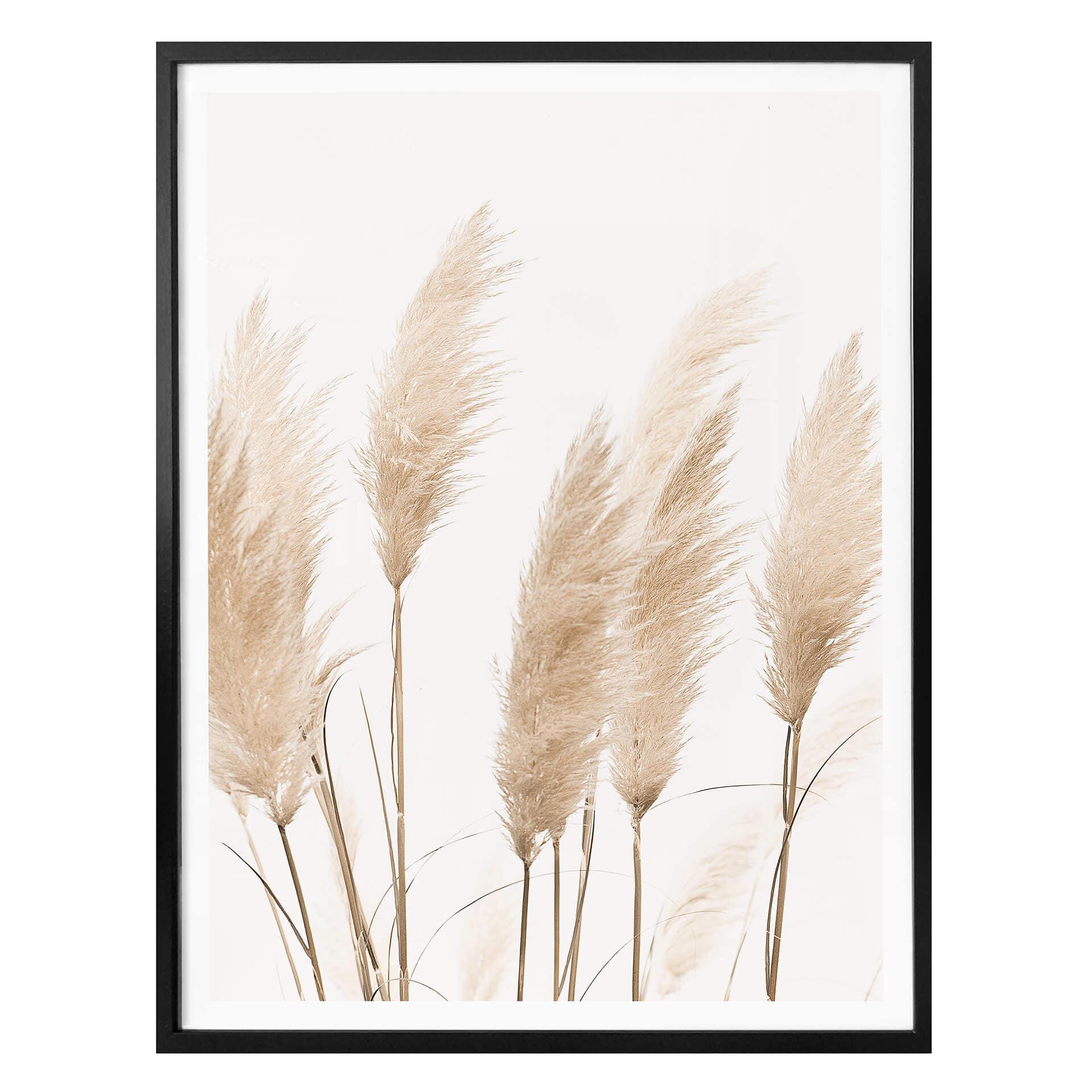 Póster Sisi & Seb - Pampas