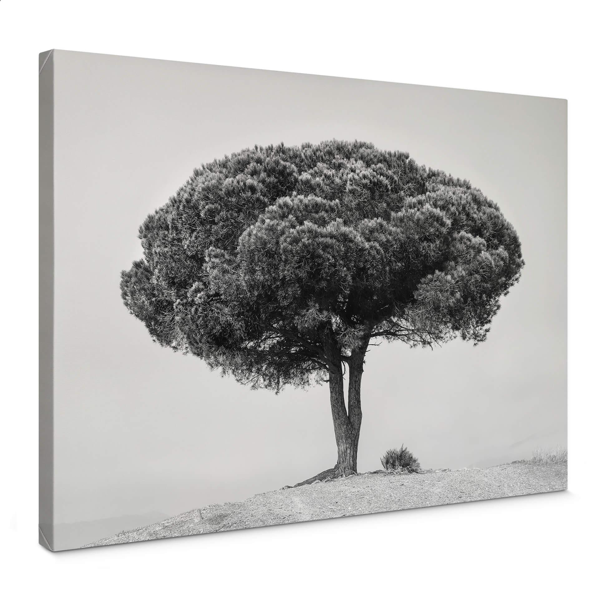 Lienzo Martin - Árbol en blanco y negro