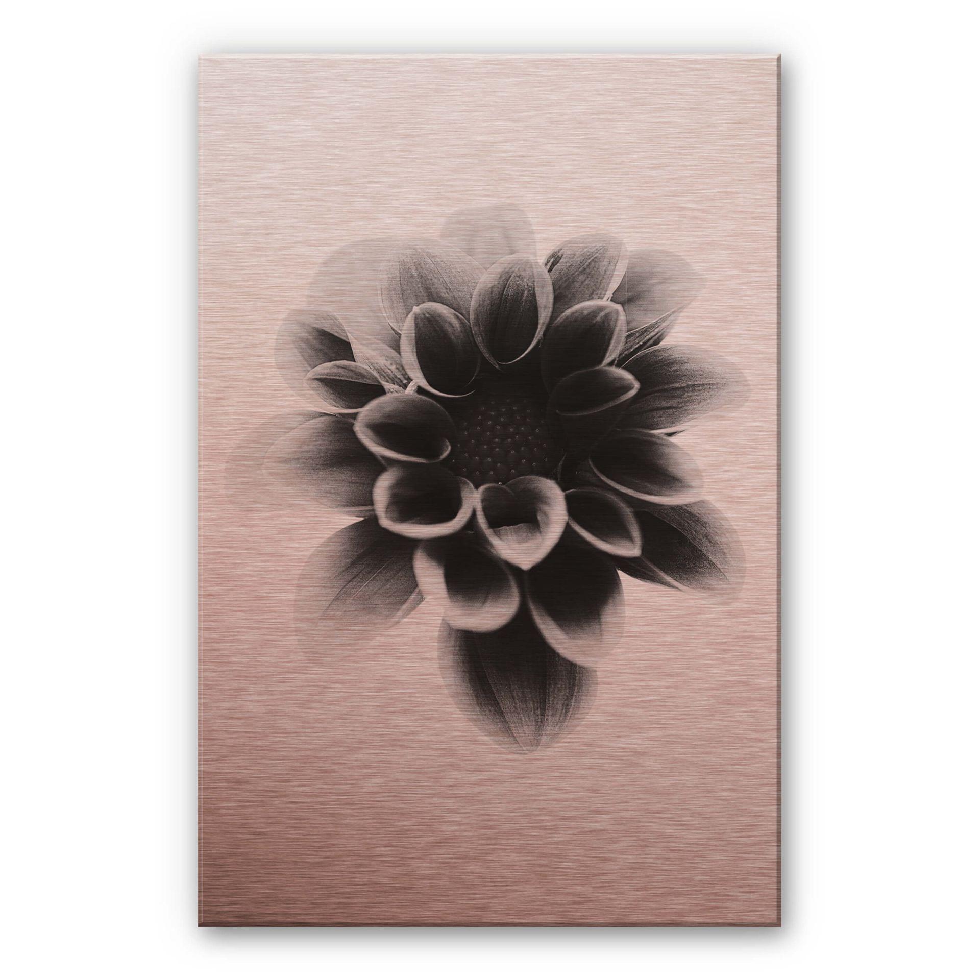 Tableau en alu-Dibond effet cuivré - Grønkjær - Dahlia