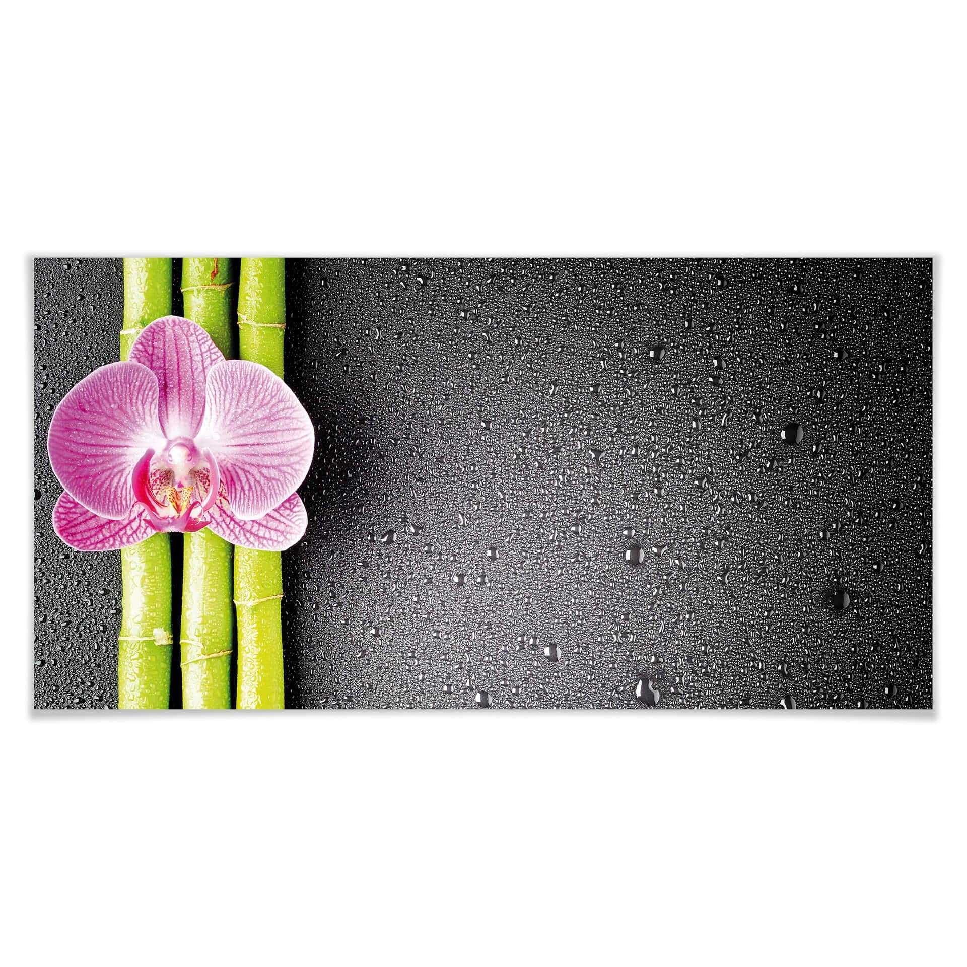 Póster Orquídea y bambú - Panorama 02