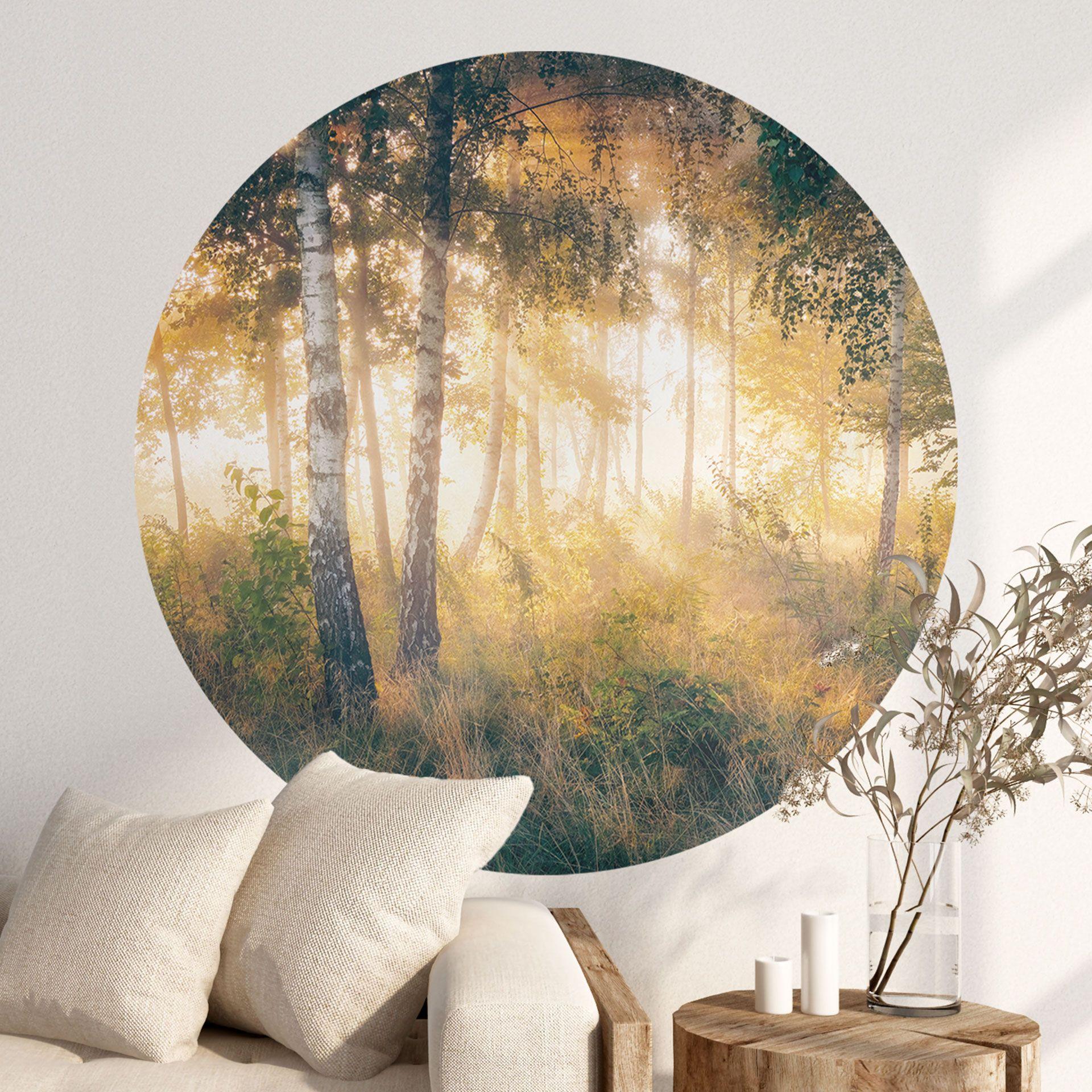 Vinilo decorativo Sol en el bosque de abedules - Kado - Redondo