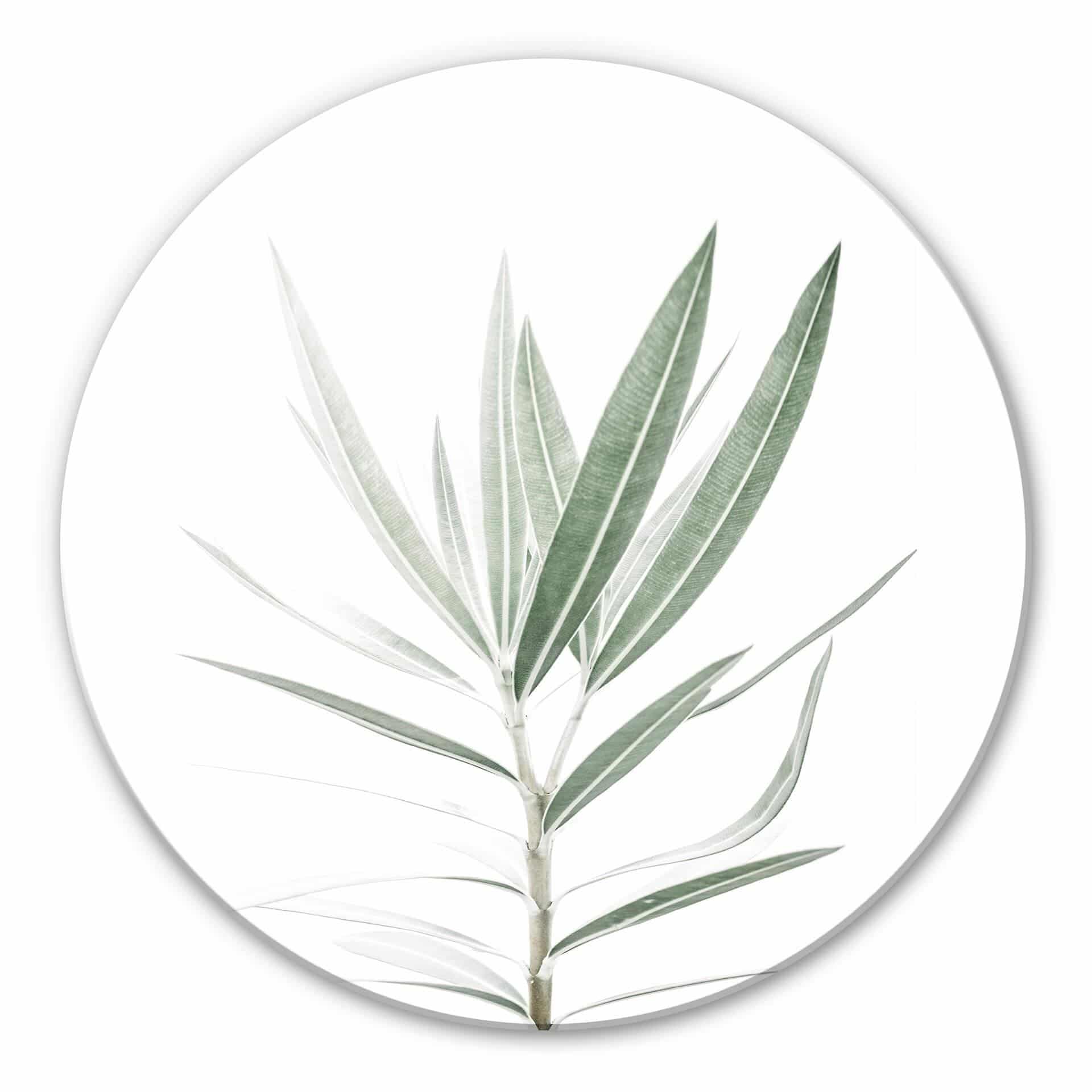 Tableau sur verre Sisi & Seb - Laurier - Rond