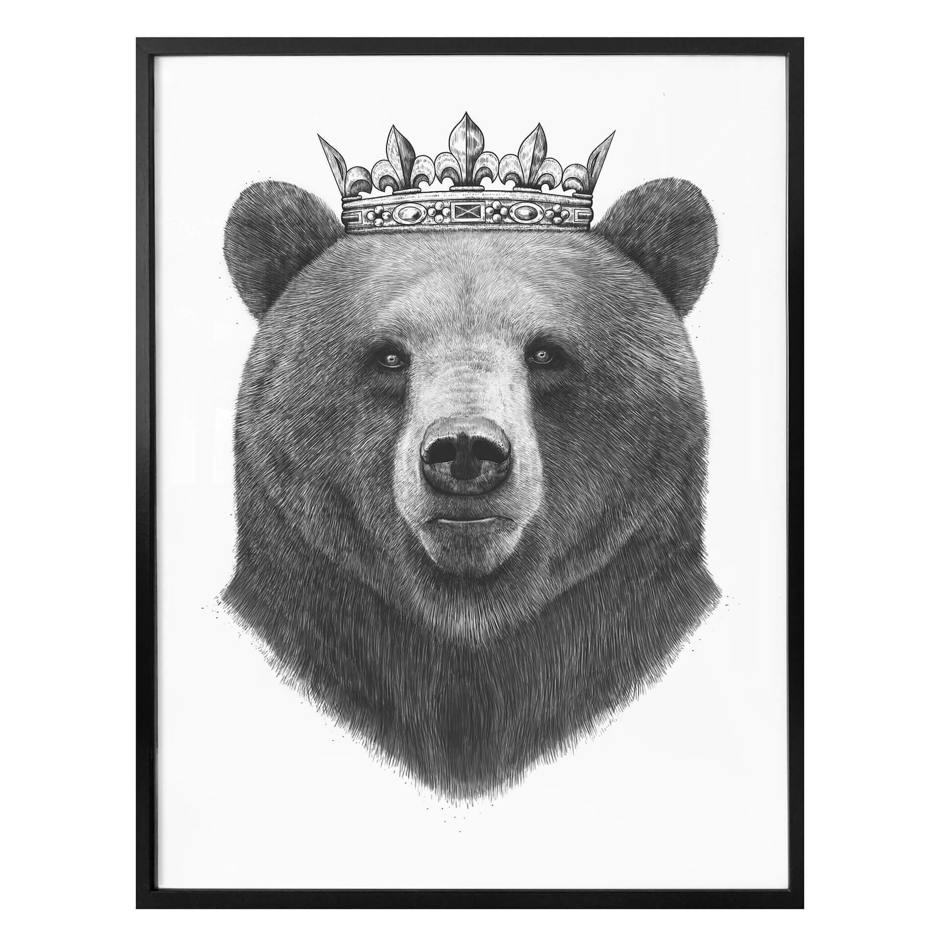 Plakat - Korenkova - King Bear