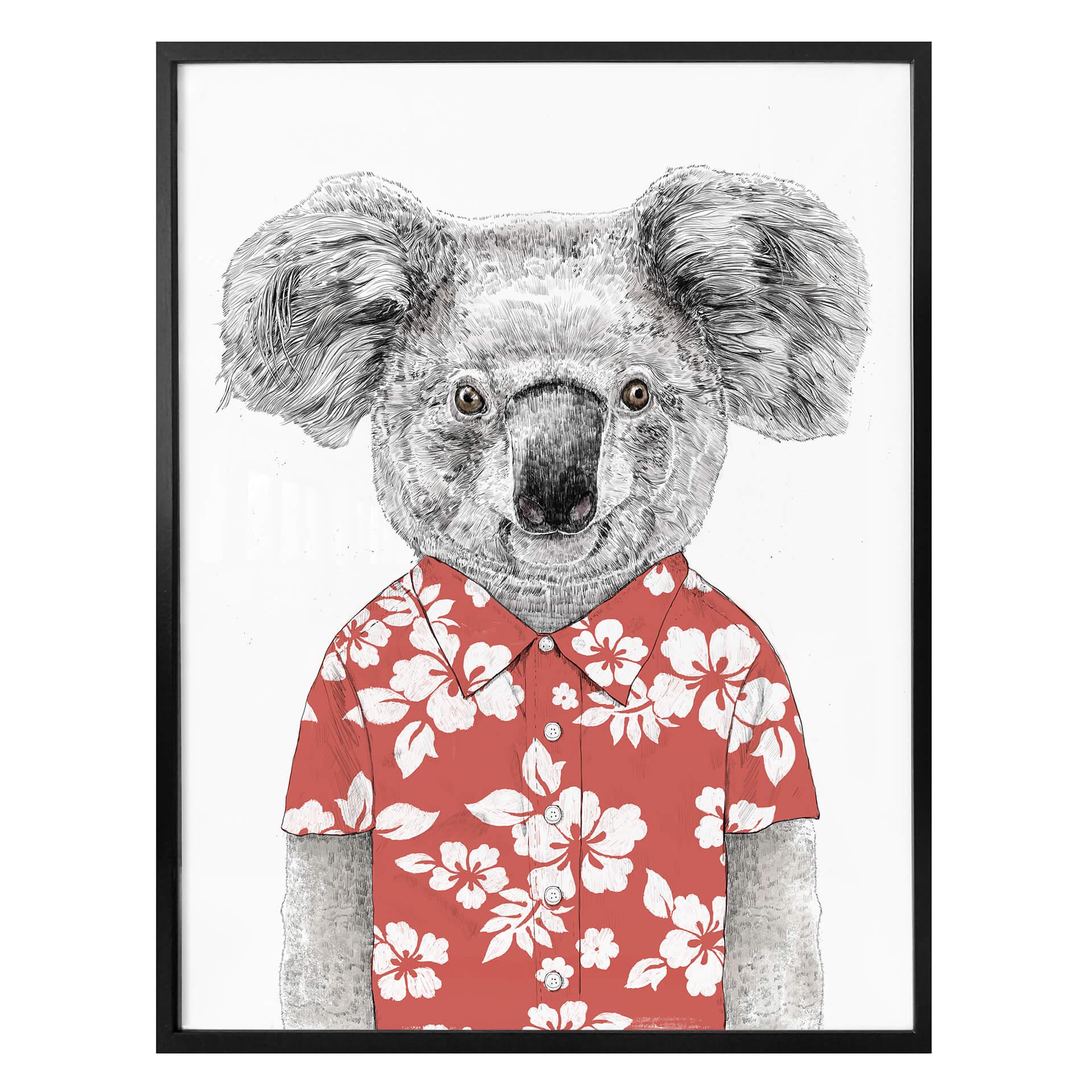 Póster Solti - Koala en verano