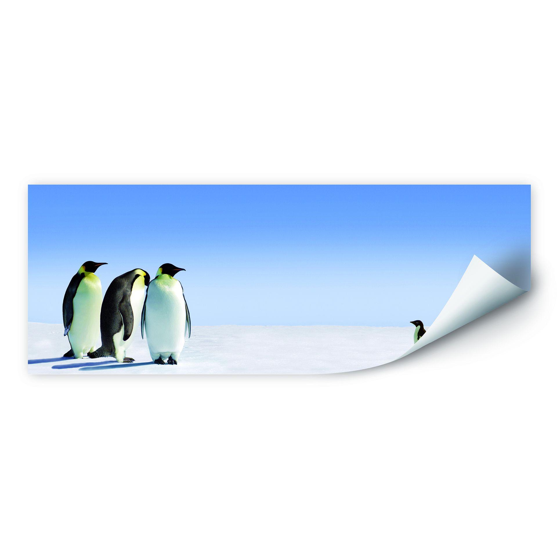 Muurprints Pinguins