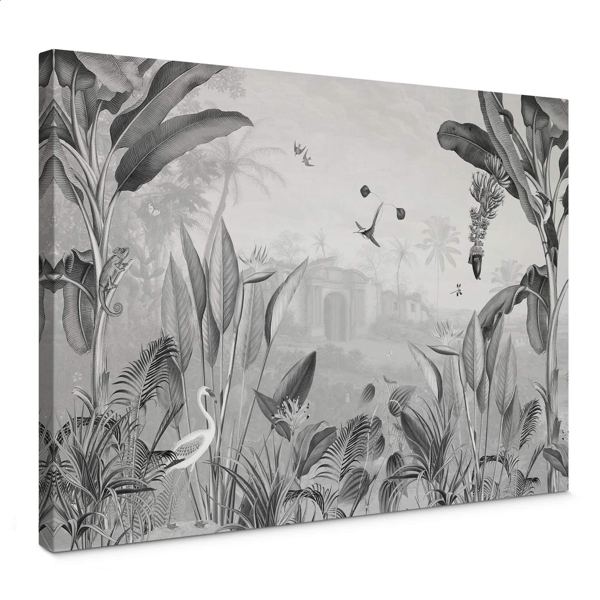 Lienzo Sir Edward - Botánica blanco y negro