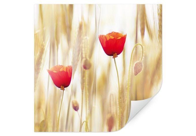 Poster - Poppies