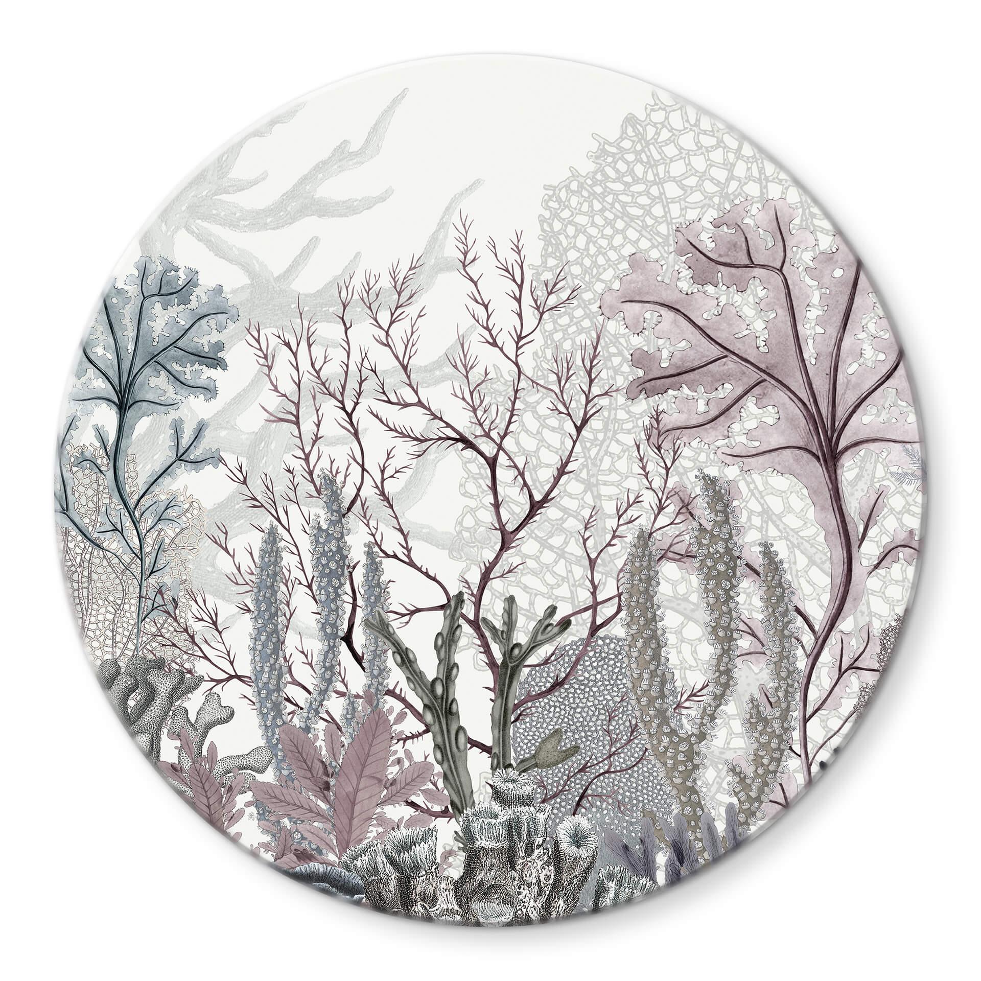 Tableau sur verre Sir Edward - Merveilles de la mer