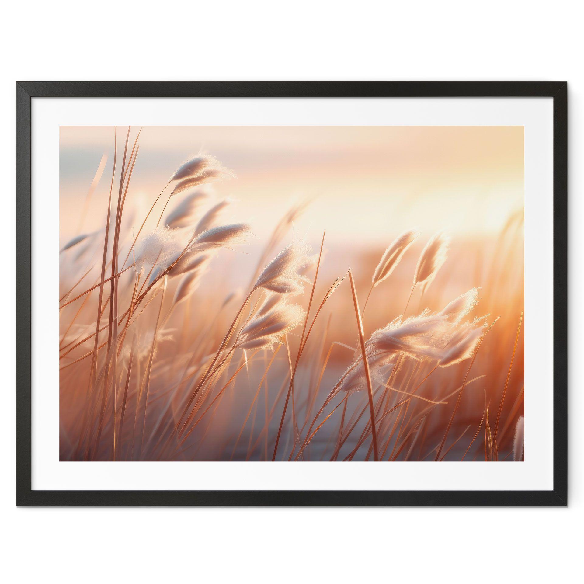 Póster Hierba de las dunas al sol del atardecer - Treechild