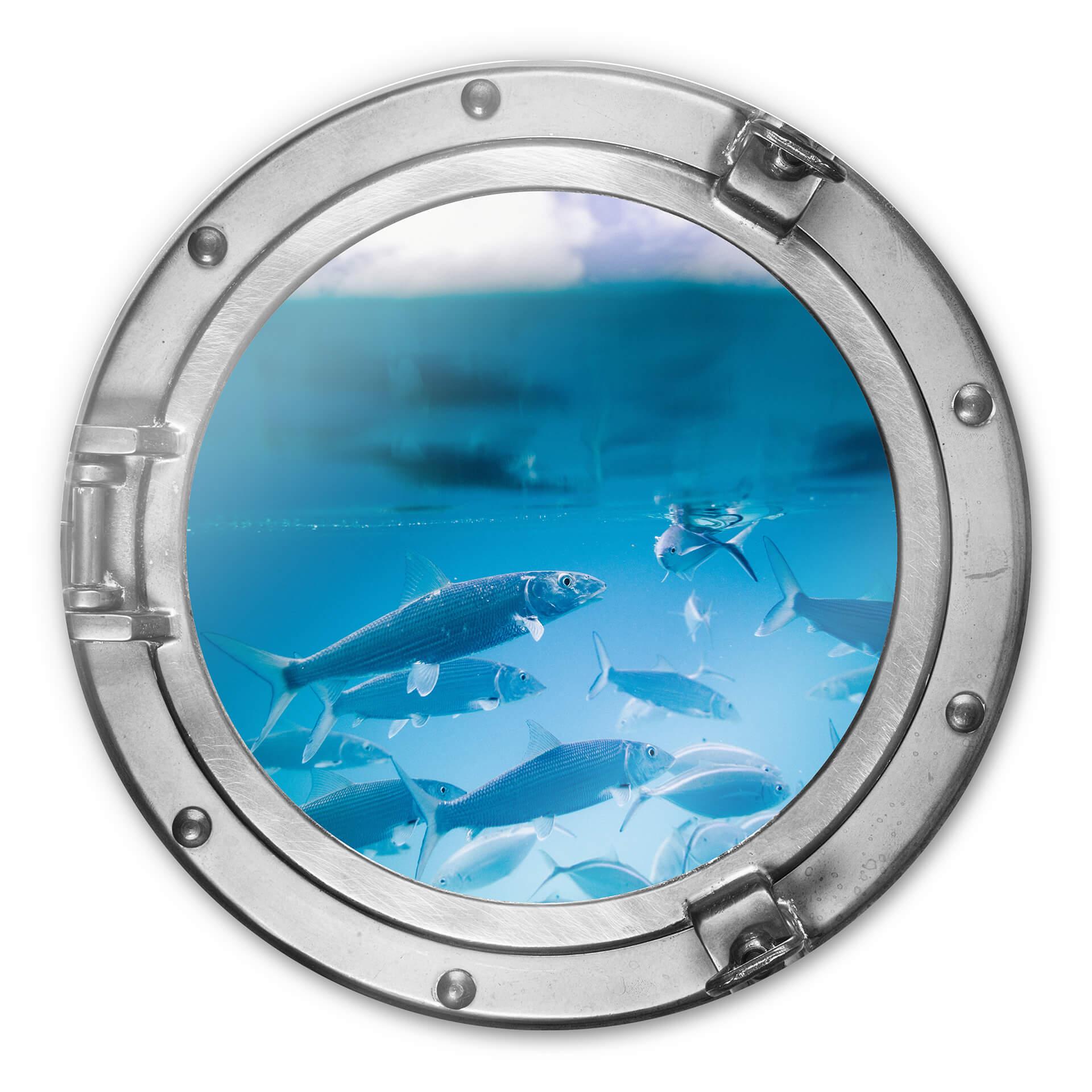 Glasschilderij rond 3D optiek - Sea Life