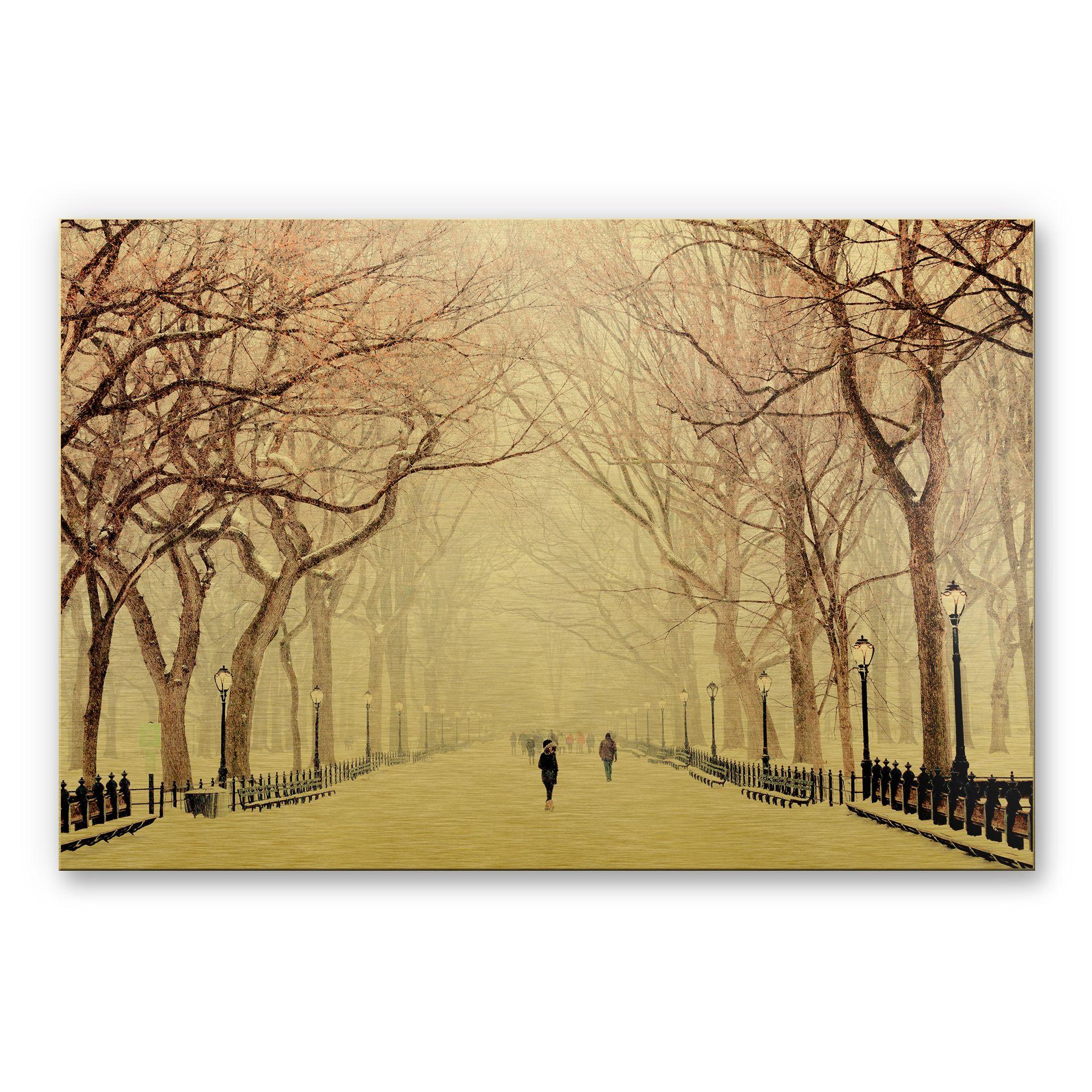 Alu-Dibond Goudeffect - Central Park Winter