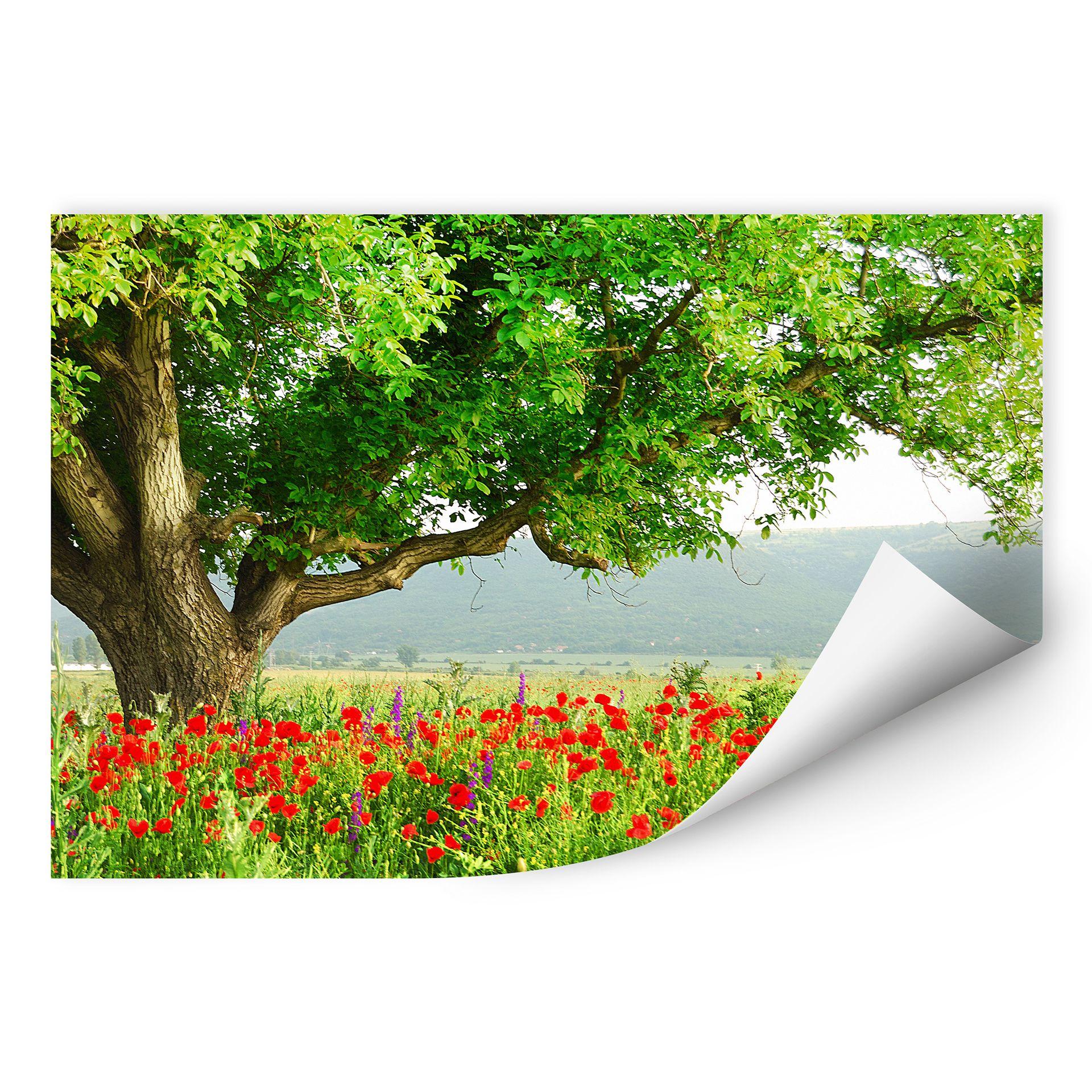Zelfklevende Poster - Summer Day