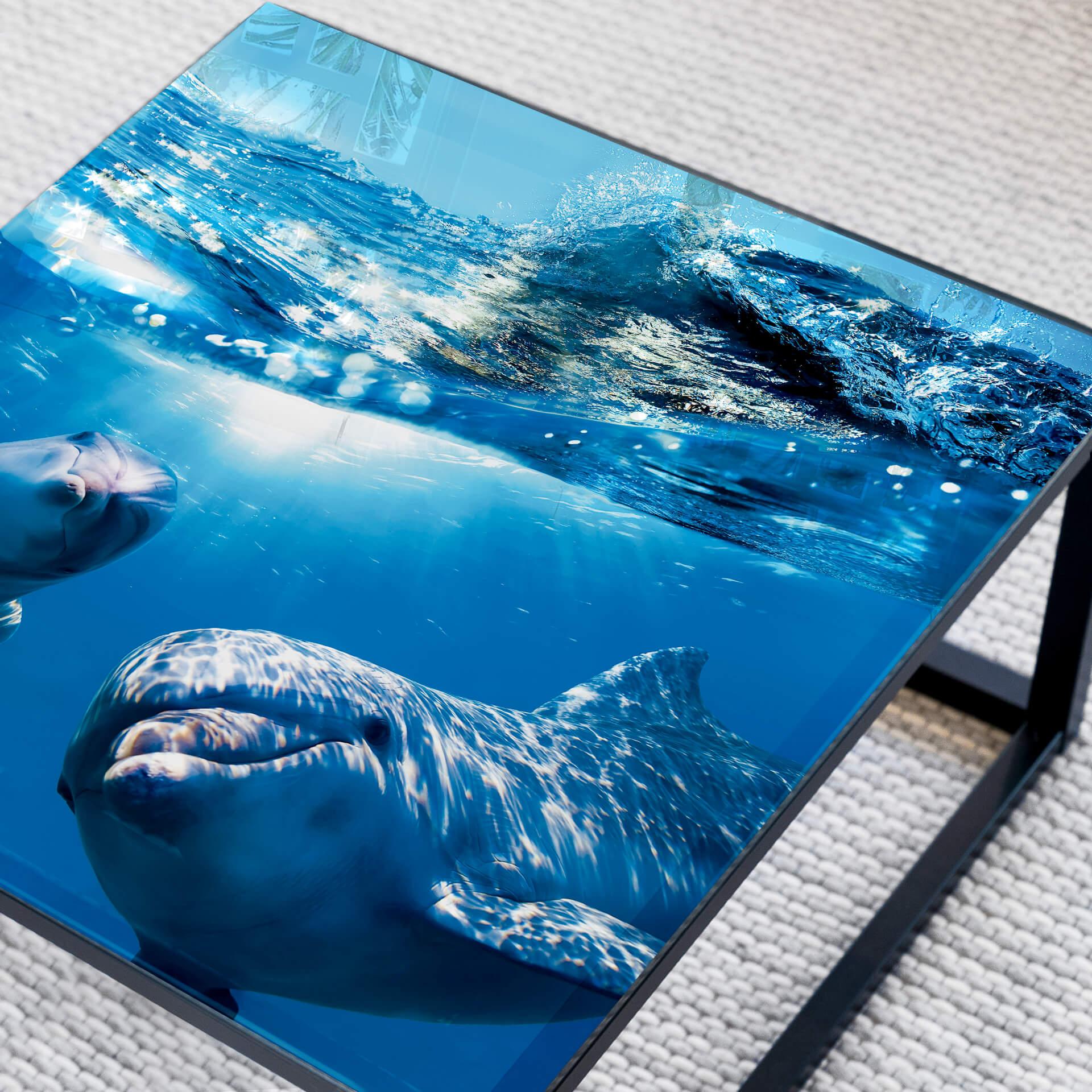 Plateau de table en verre - Dauphins sous l'eau - Carré  - 60x60 cm