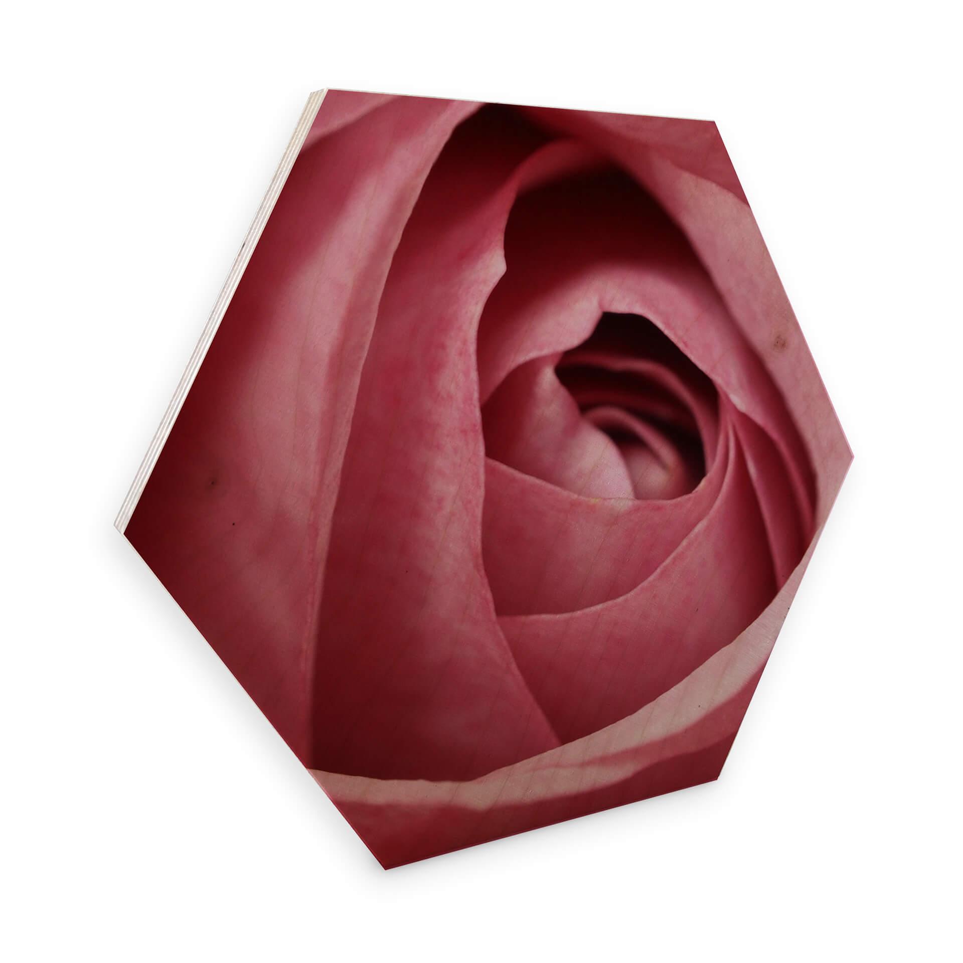 Hexagon hout - Pink Roses