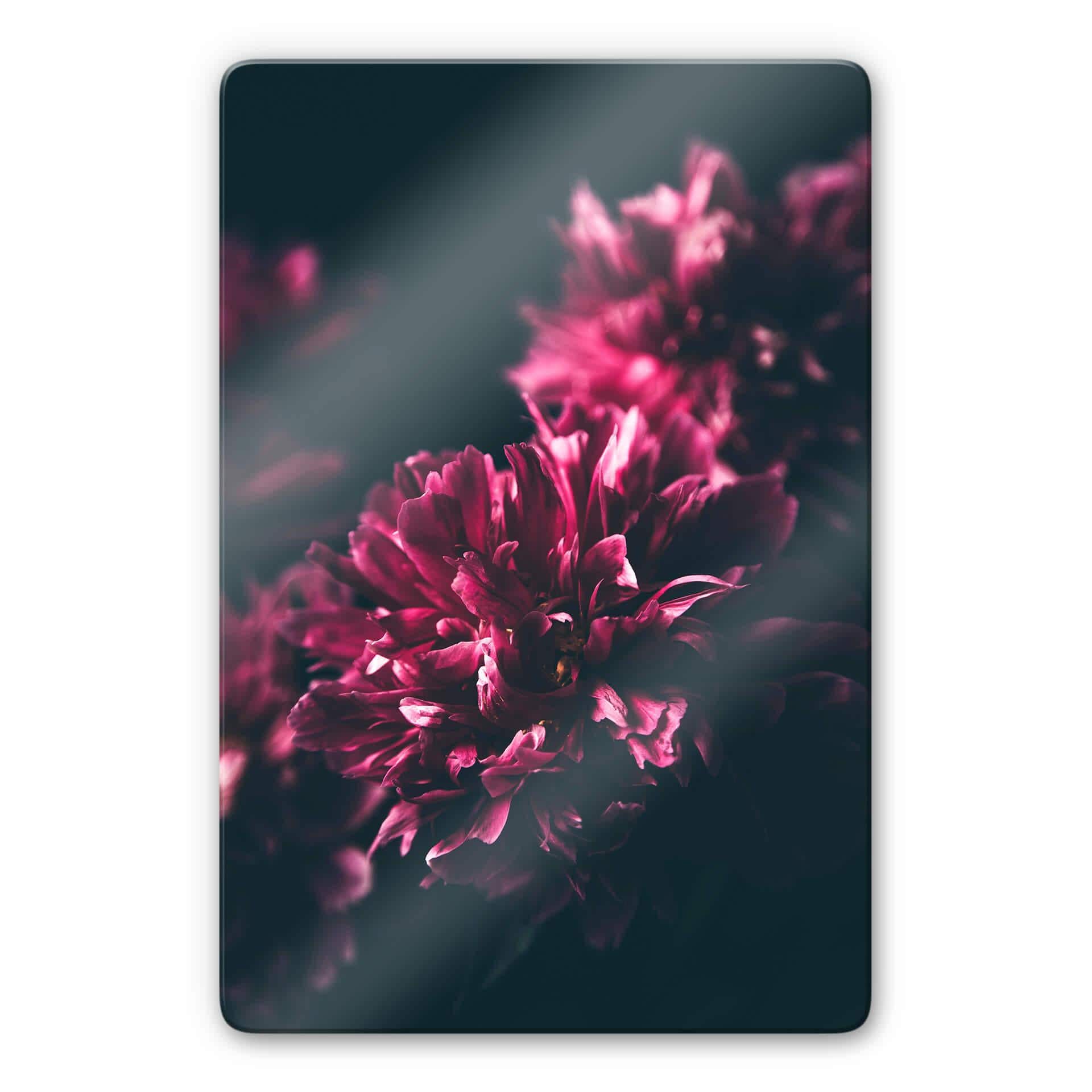 Tableau sur verre - Pink Flower Dream 01