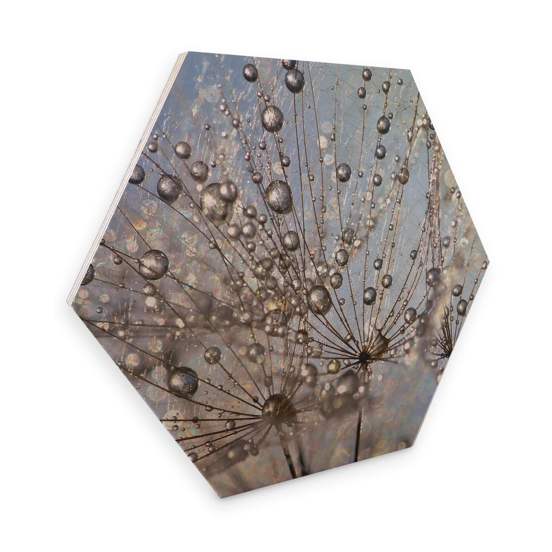 Hexagon Berkenfineer Delgado - Waterdrop Dandelion