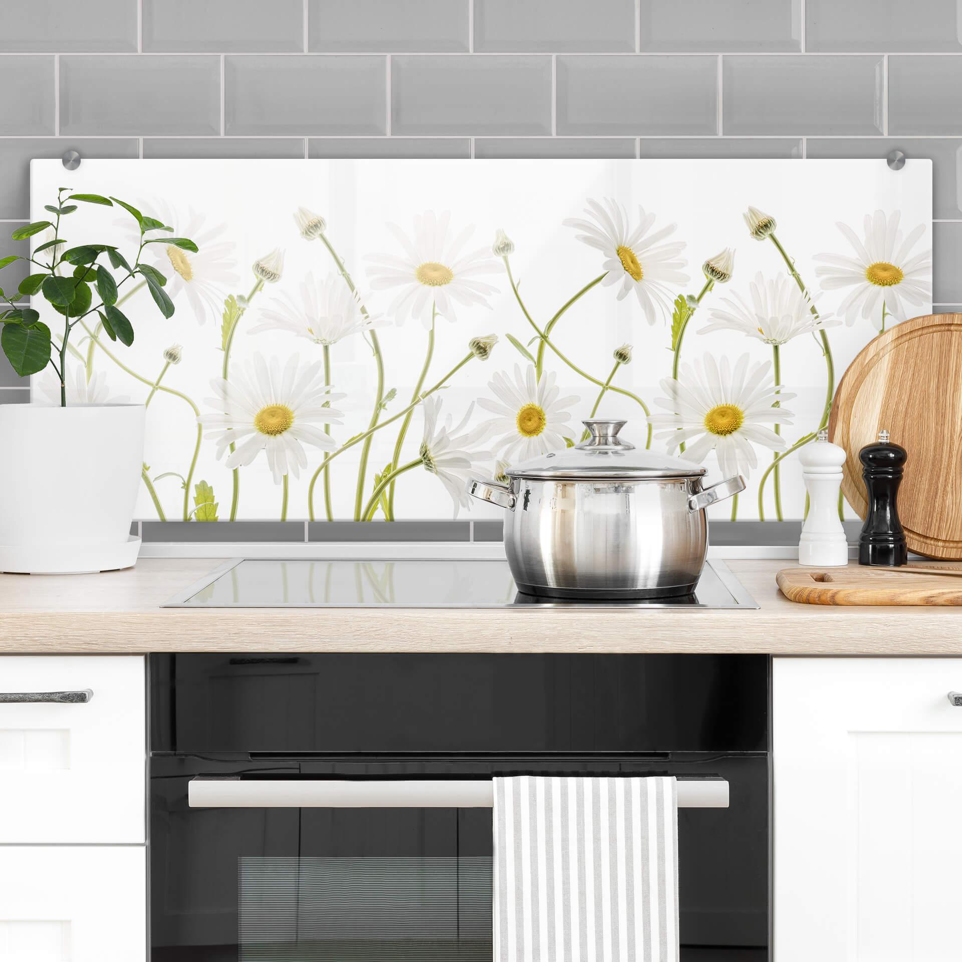 Stænkplade - Disher - Ox eye Daisies - Panorama
