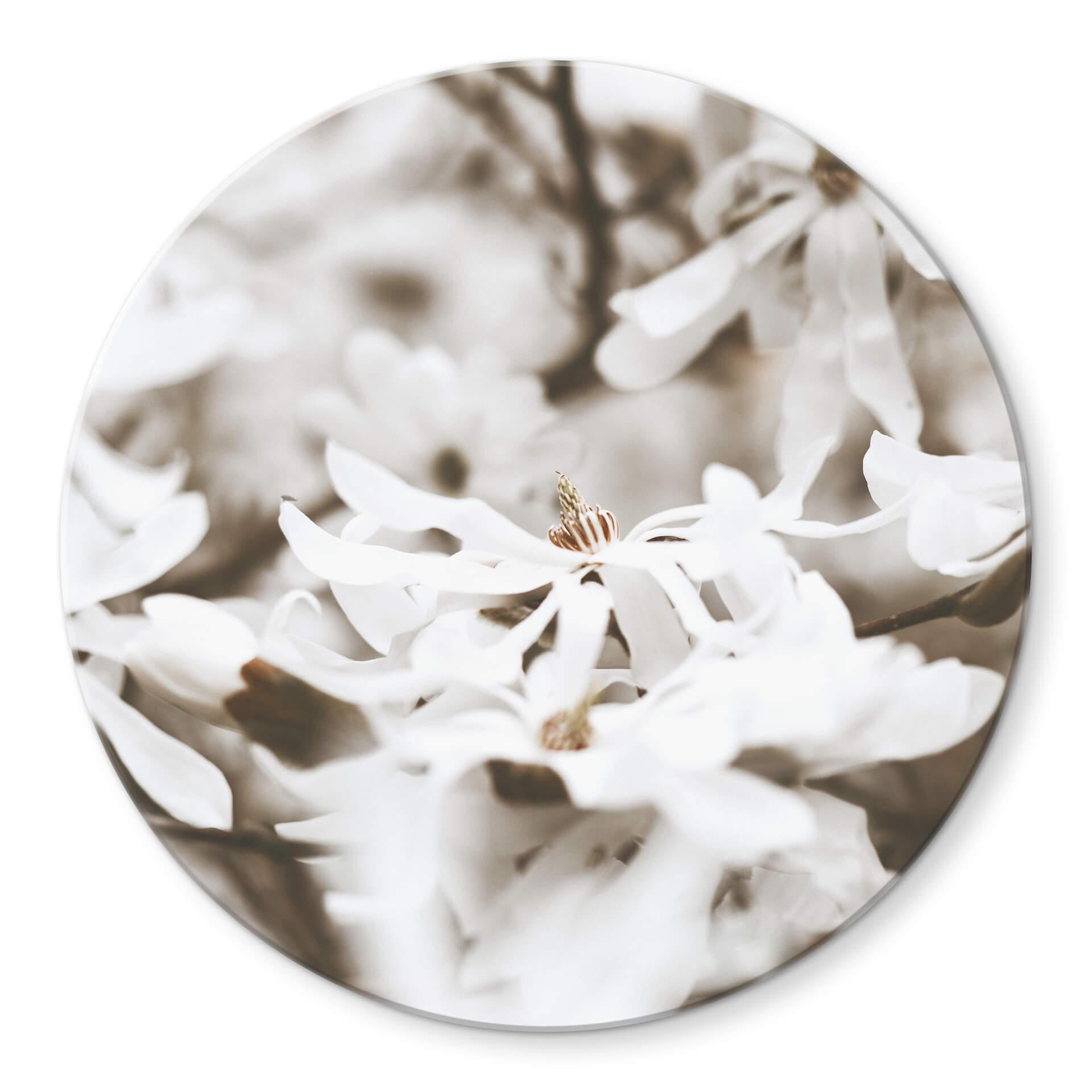 Tableau sur verre Annie - Jasmin - Rond