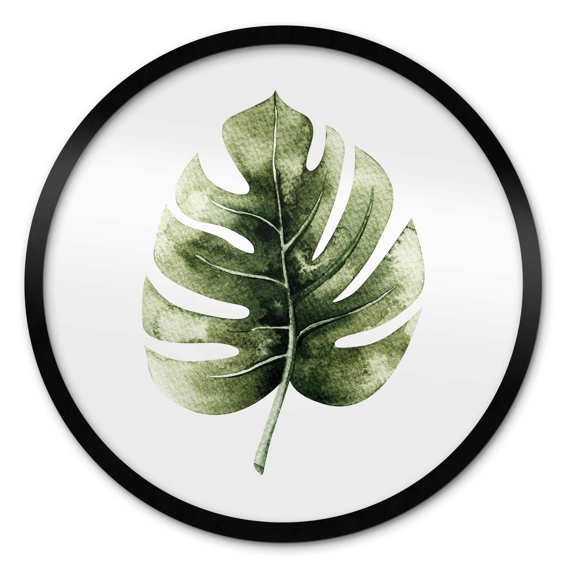 Plakat Kvilis - Monstera Leaf