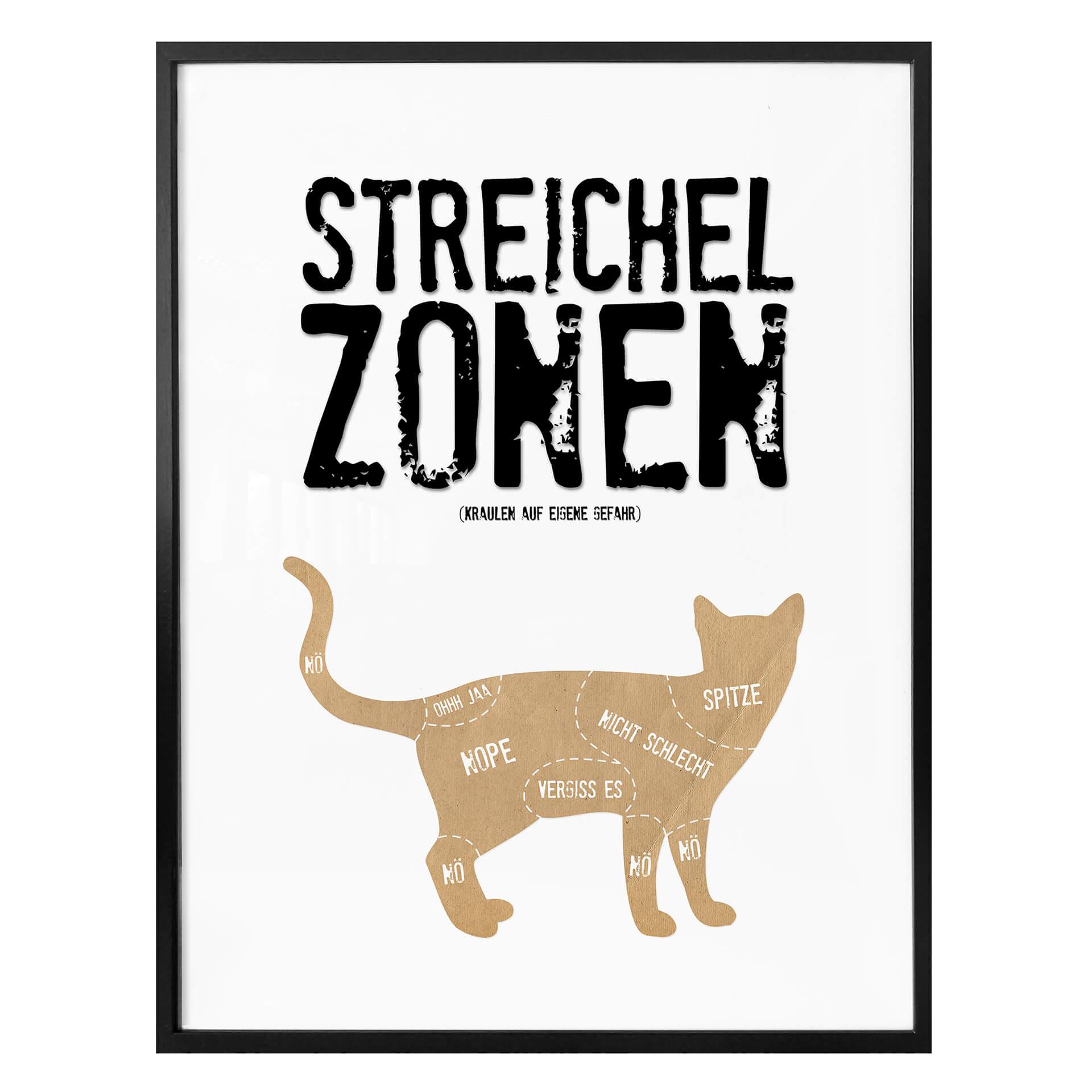 Poster Streelzones - kat