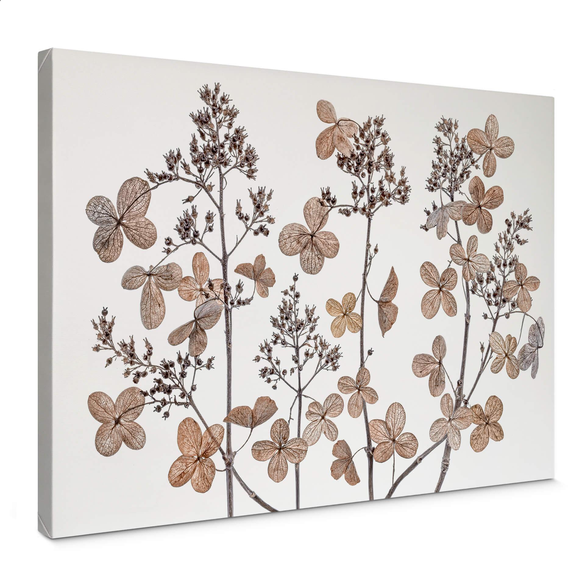 Lienzo Disher - Flores secas