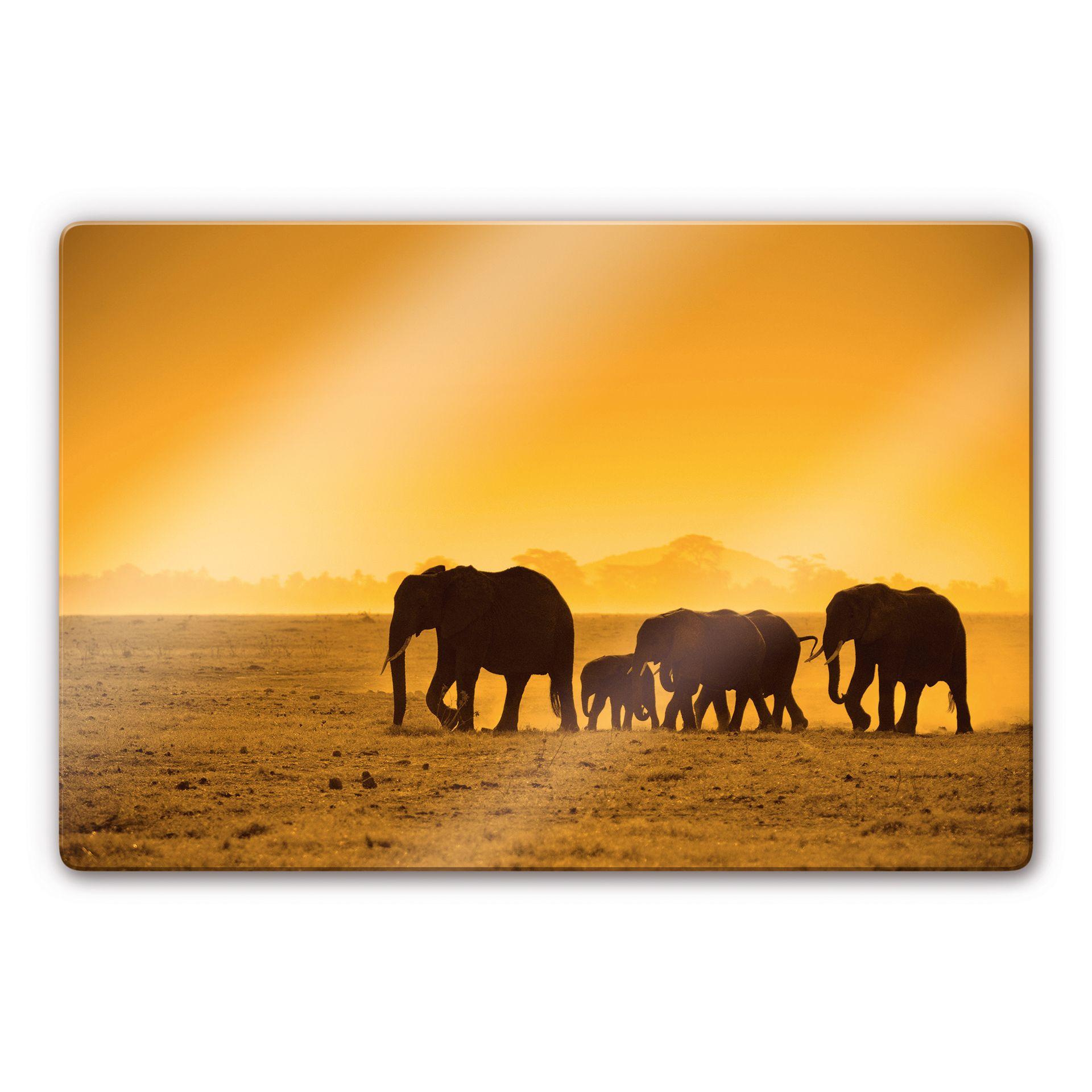 Glasbillede - Elefant Tur