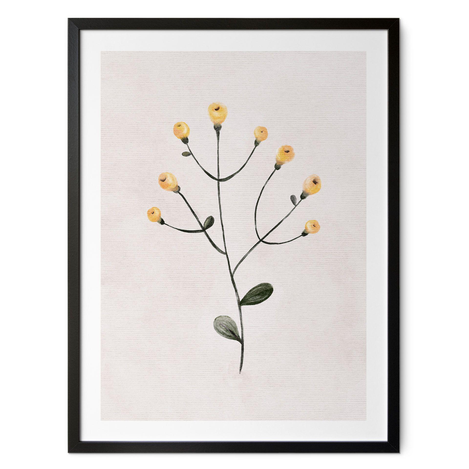 Póster Planta delicada con flores amarillas - Goed Blauw