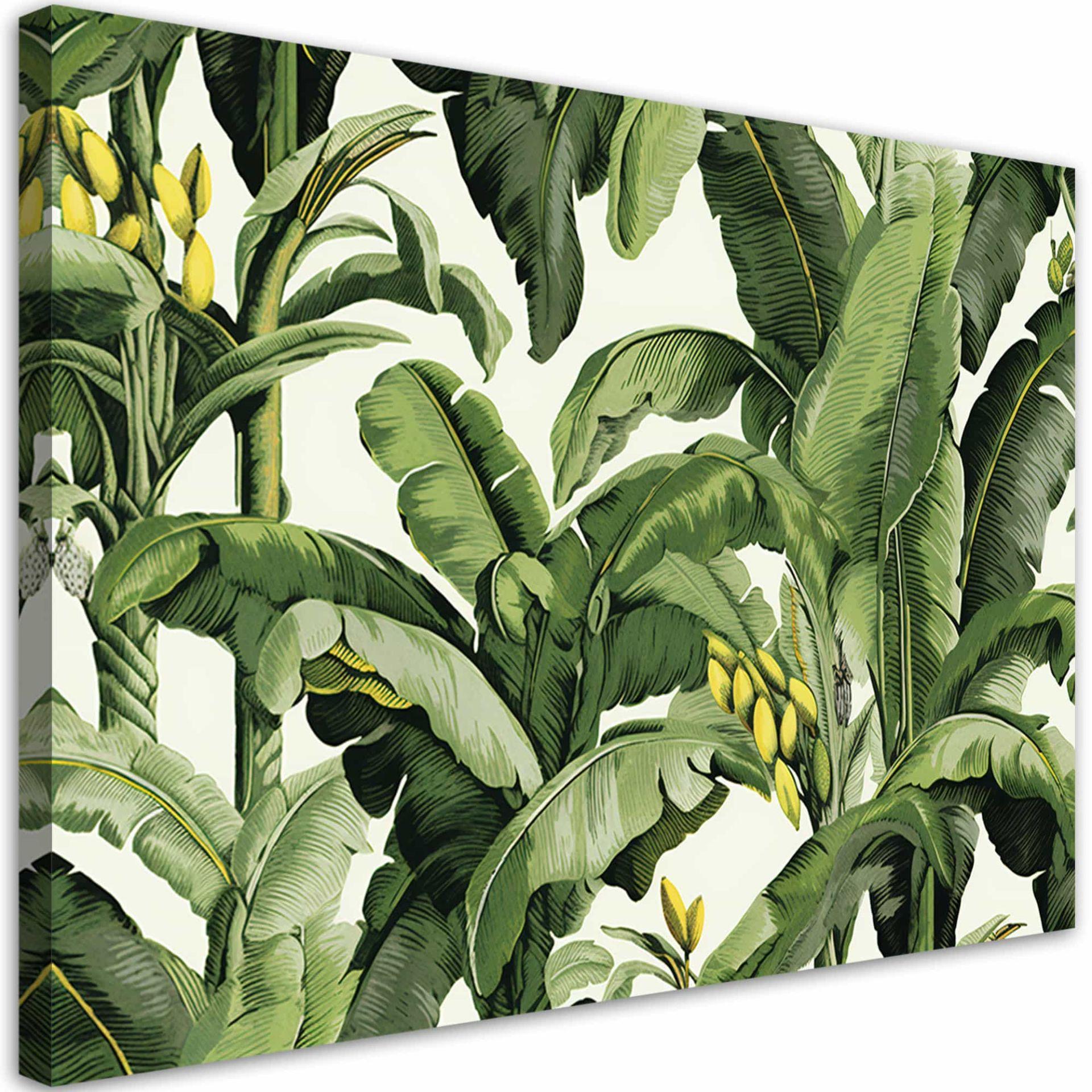 Canvasbillede, Grønne bananblade