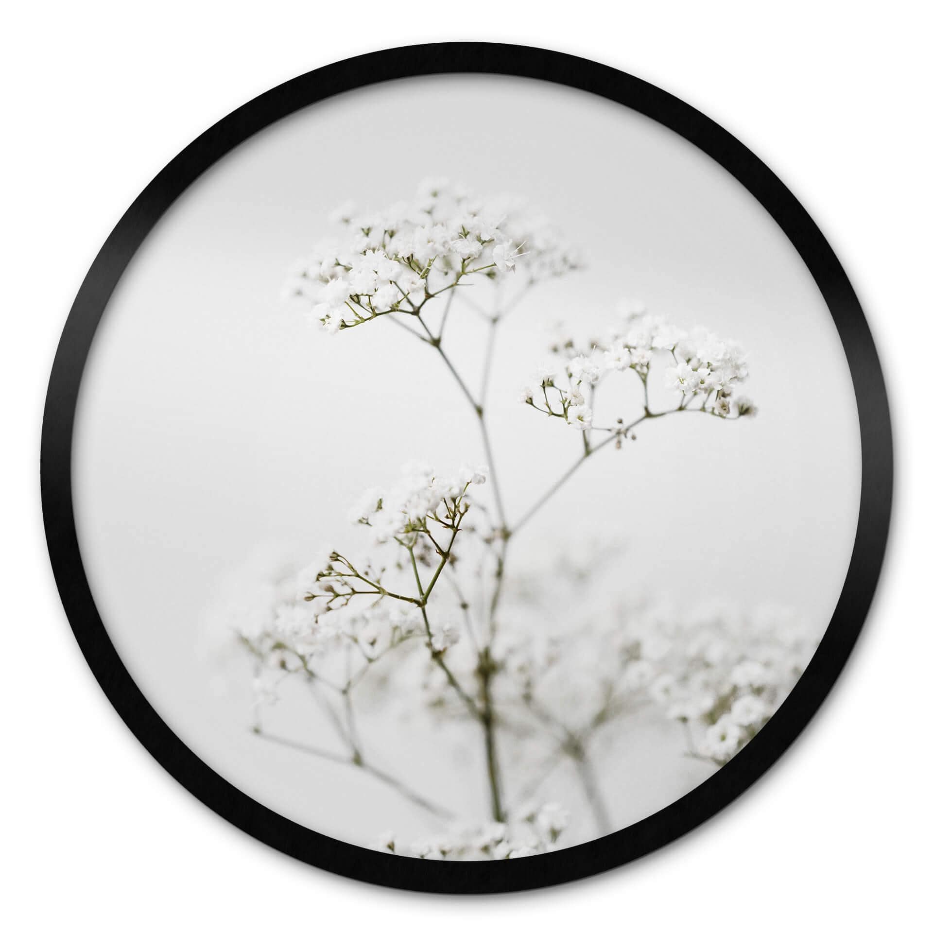 Plakat Annie - Wild Grass