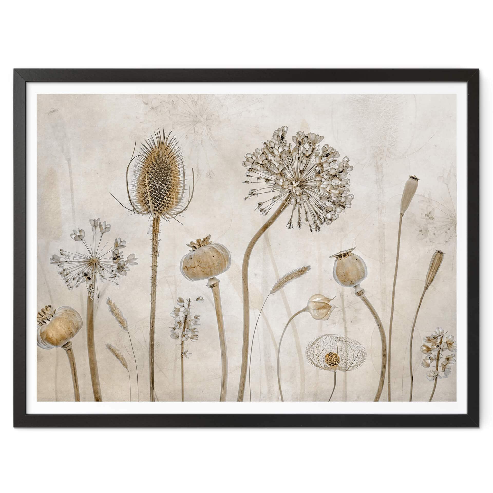 Póster Disher - Flores secas