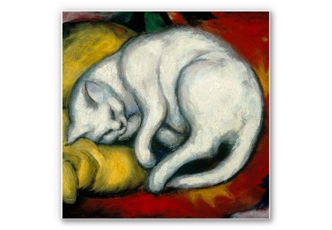 Tableau Forex - Marc - Le chat blanc - carré